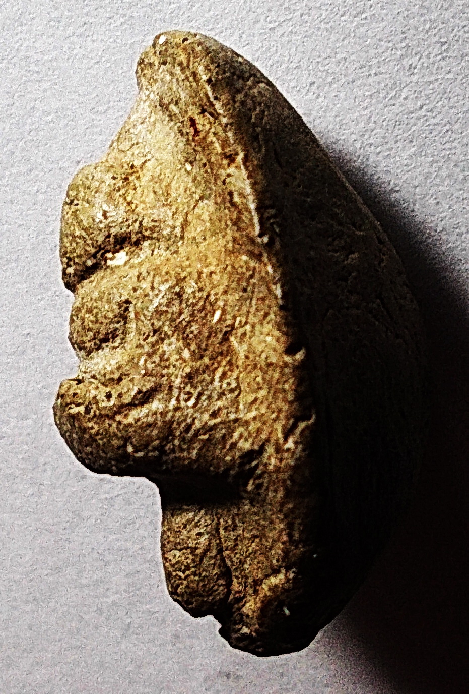 พระถ้ำเสือพิมพ์ต้อ(จิ๋ว) กรุเมืองสุพรรณบุรี