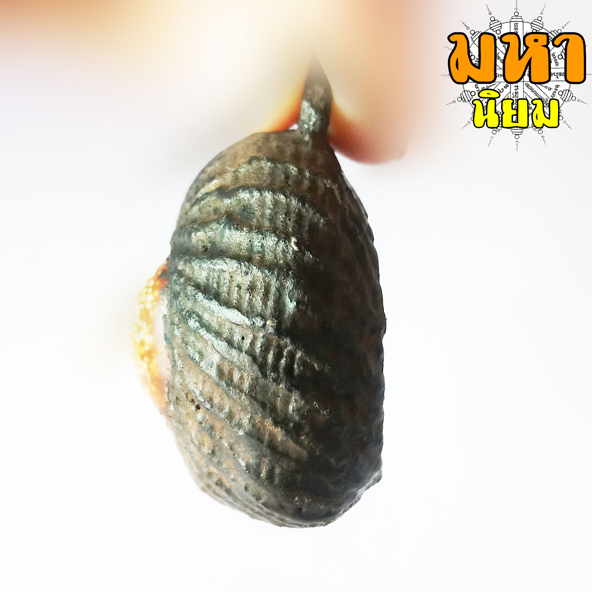 เบี้ยแก้ ล็อกเก็ต หลวงพ่อกวย วัดโฆสิตาราม จ.ชัยนาท (เขย่าแล้วมีเสียงตะกรุดข้างใน)