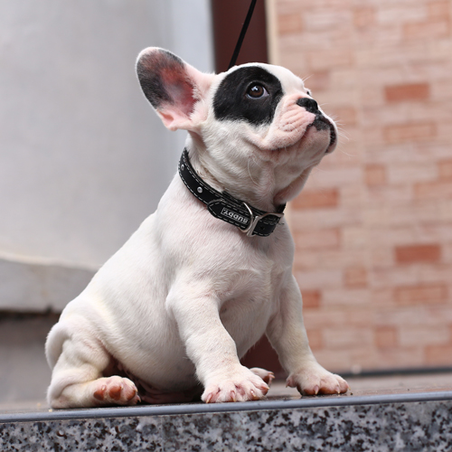 เด็กชายมาร์คกิ้งโจรสลัดเท่ห์ๆ อายุ2เดือน