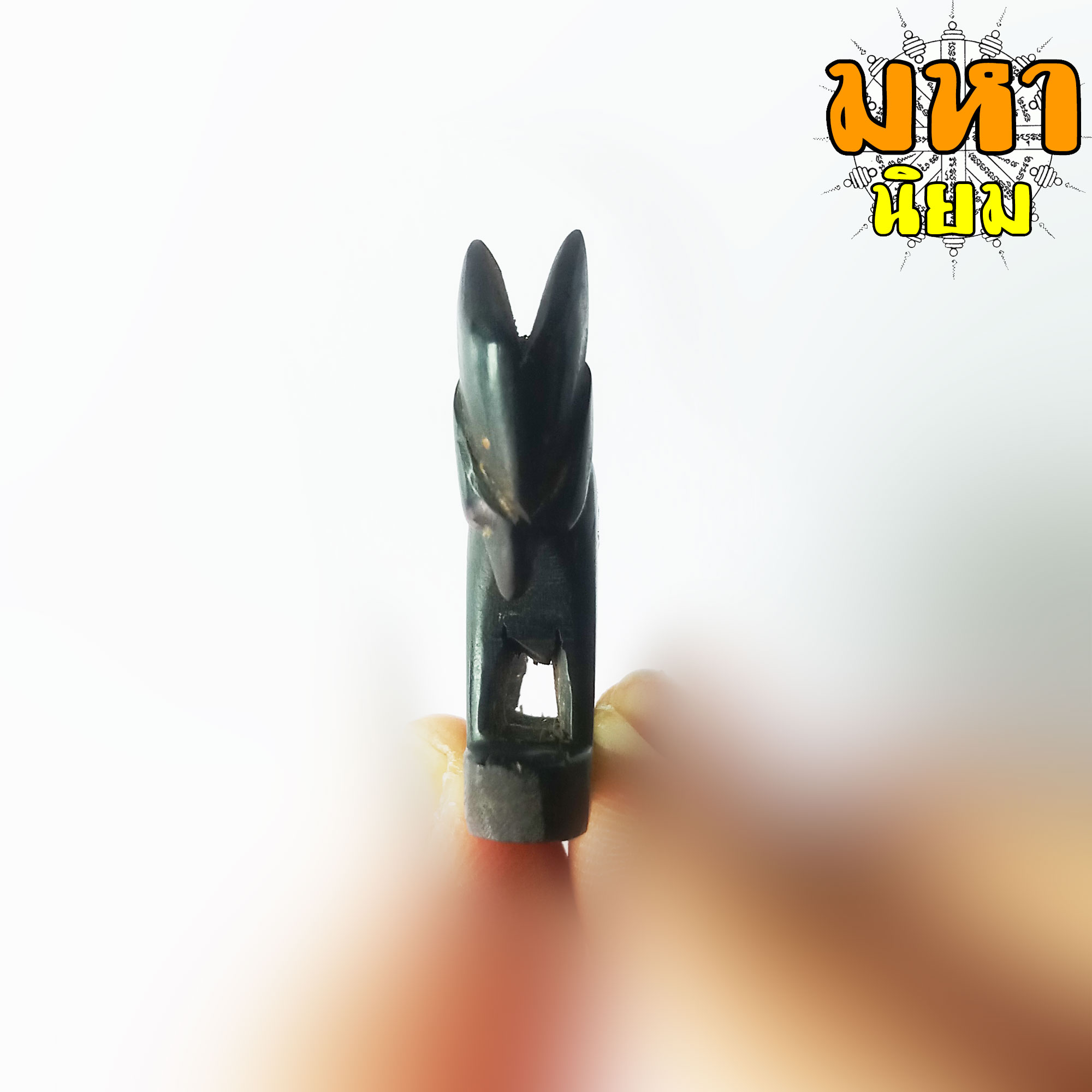 แพะหลวงพ่ออ่ำ วัดหนองกระบอก จ.ระยอง