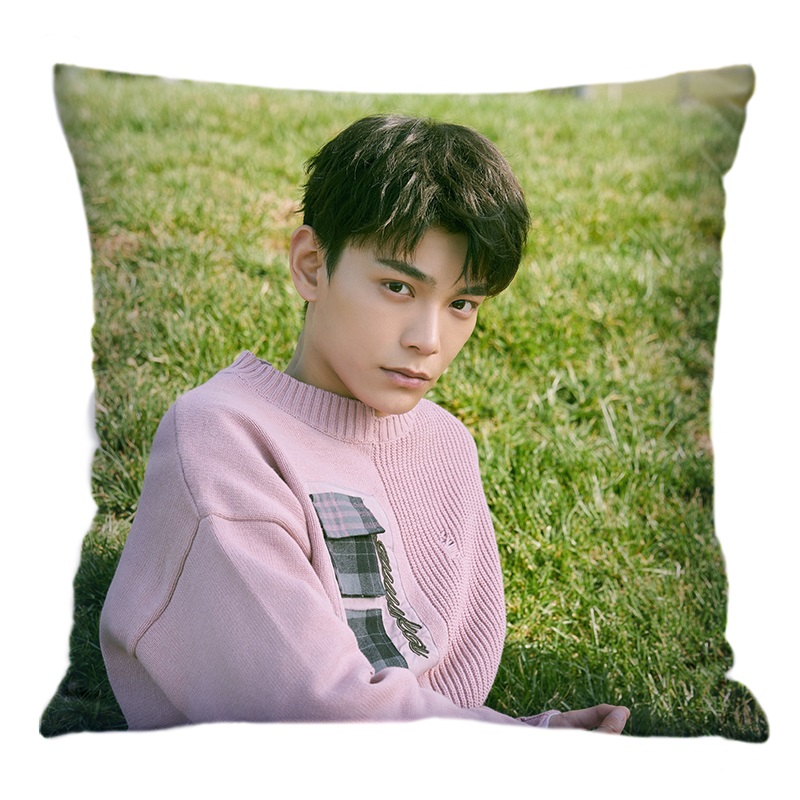 Pre - หมอนลาย ติงอวี่ซี DingYuxi ดาราจีน