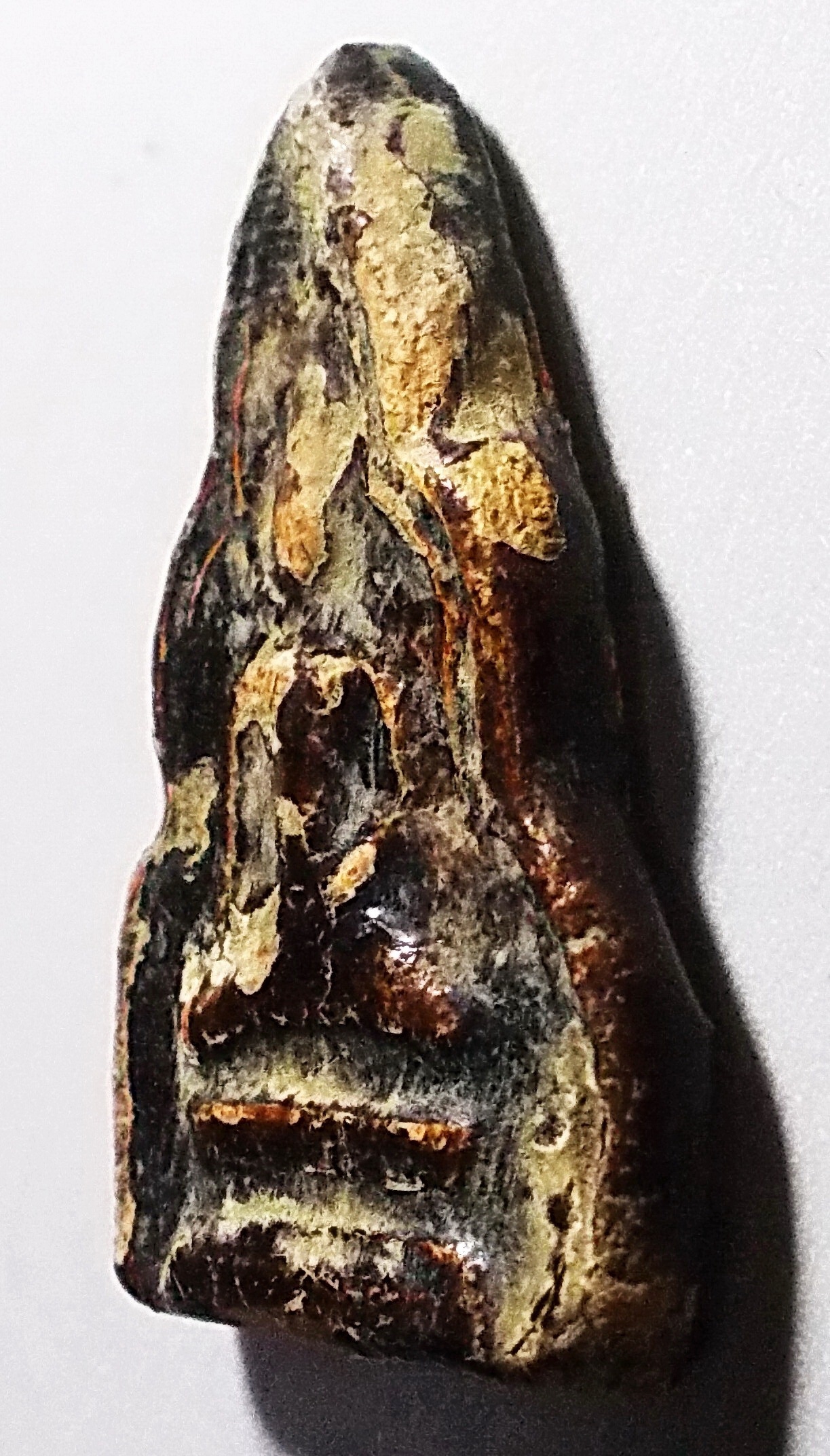 พระเนื้อดินจุ่มรัก พิมพ์ซุ้มหยัก ลพ.พ่วง วัดกก บางขุนเทียน #lnw724