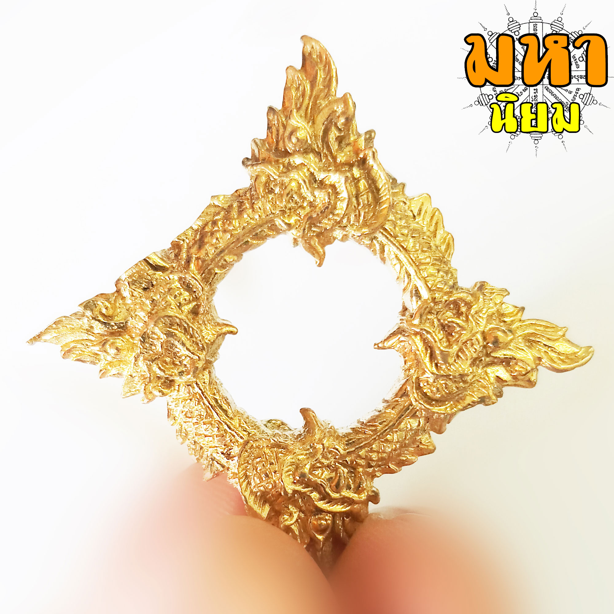 บ่วงพญานาค กินหาง เนื้อทองเหลือง