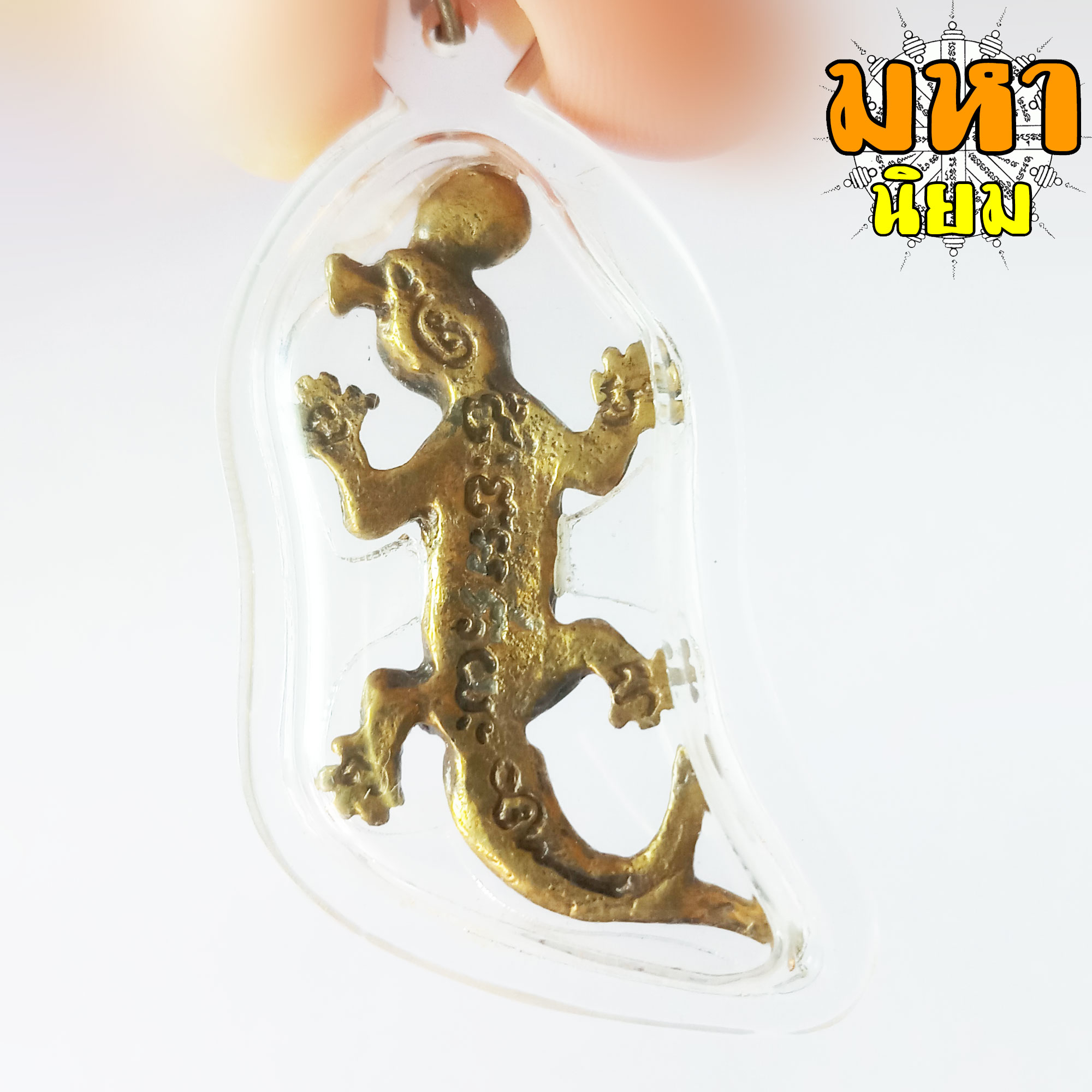 จิ้งจกนำโชค 2 หาง หลวงปู่หลิว วัดไร่แตงทอง จ.นครปฐม เลี่ยมกรอบอย่างดี