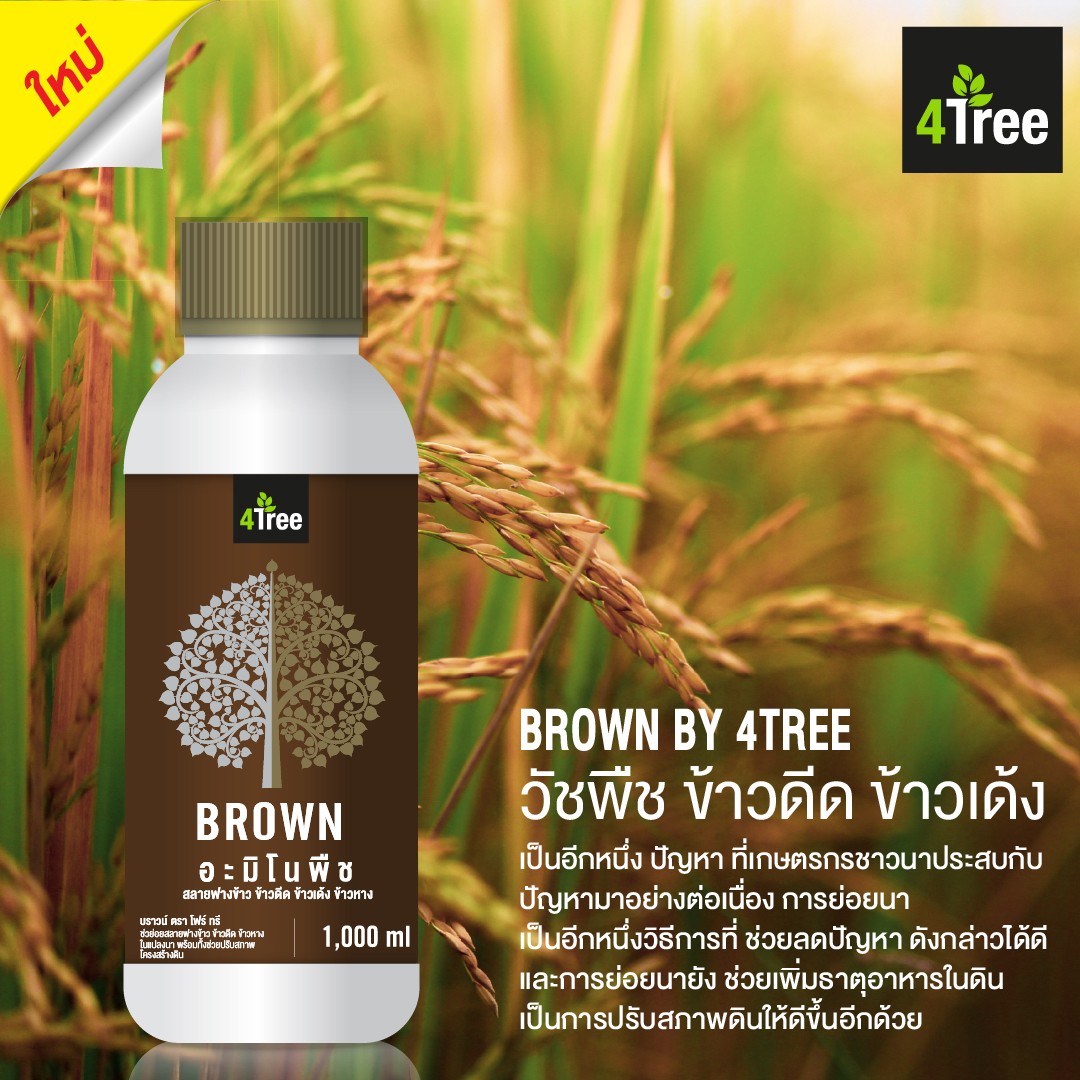 อะมิโน บราวน์ Amino Brown 4tree จุลินทรีย์