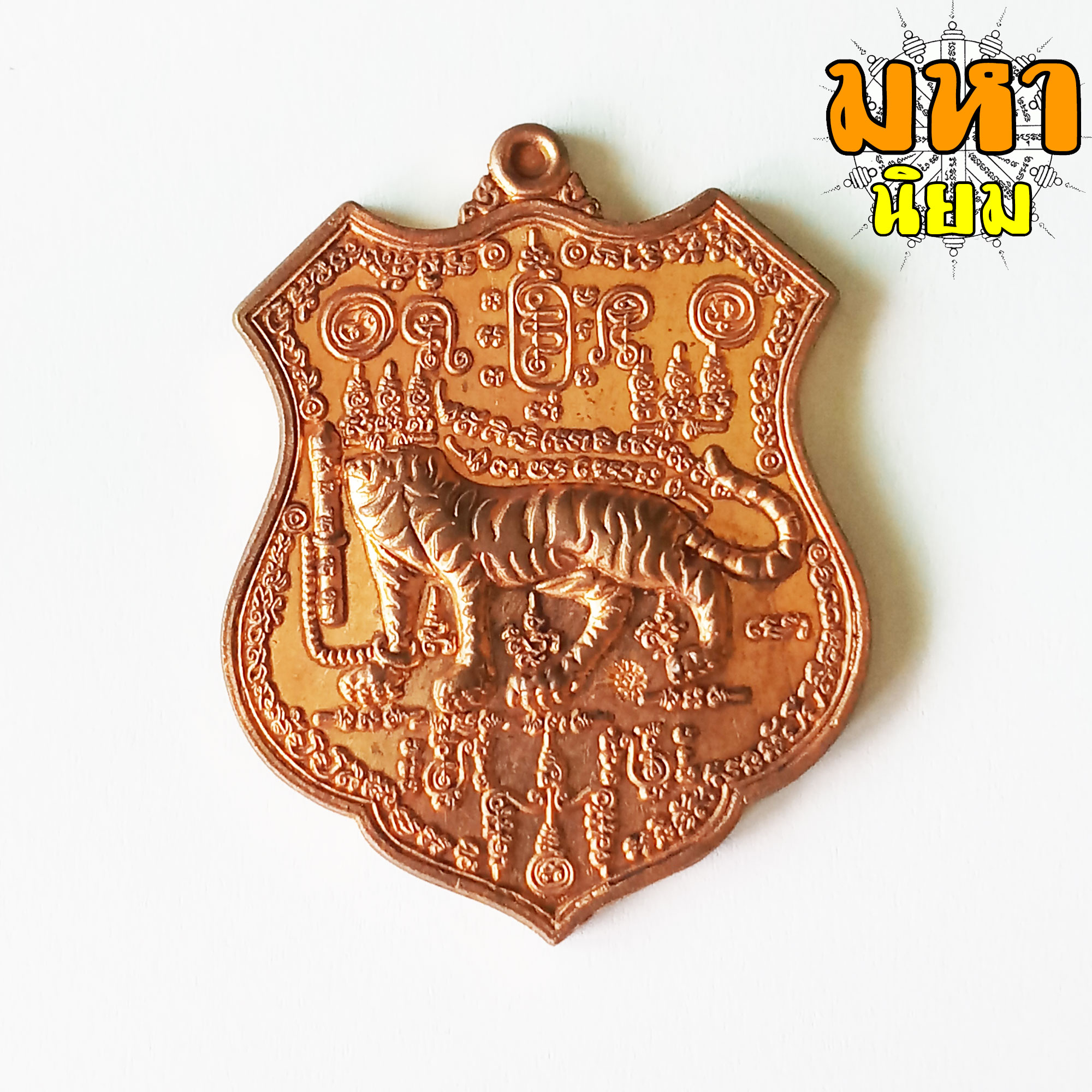 เหรียญเสือหัวขาดตัวหนึ่ง หลวงพ่อไฉน ฉนฺทสาโร จ.ขอนแก่น พร้อมกล่องอย่างดี