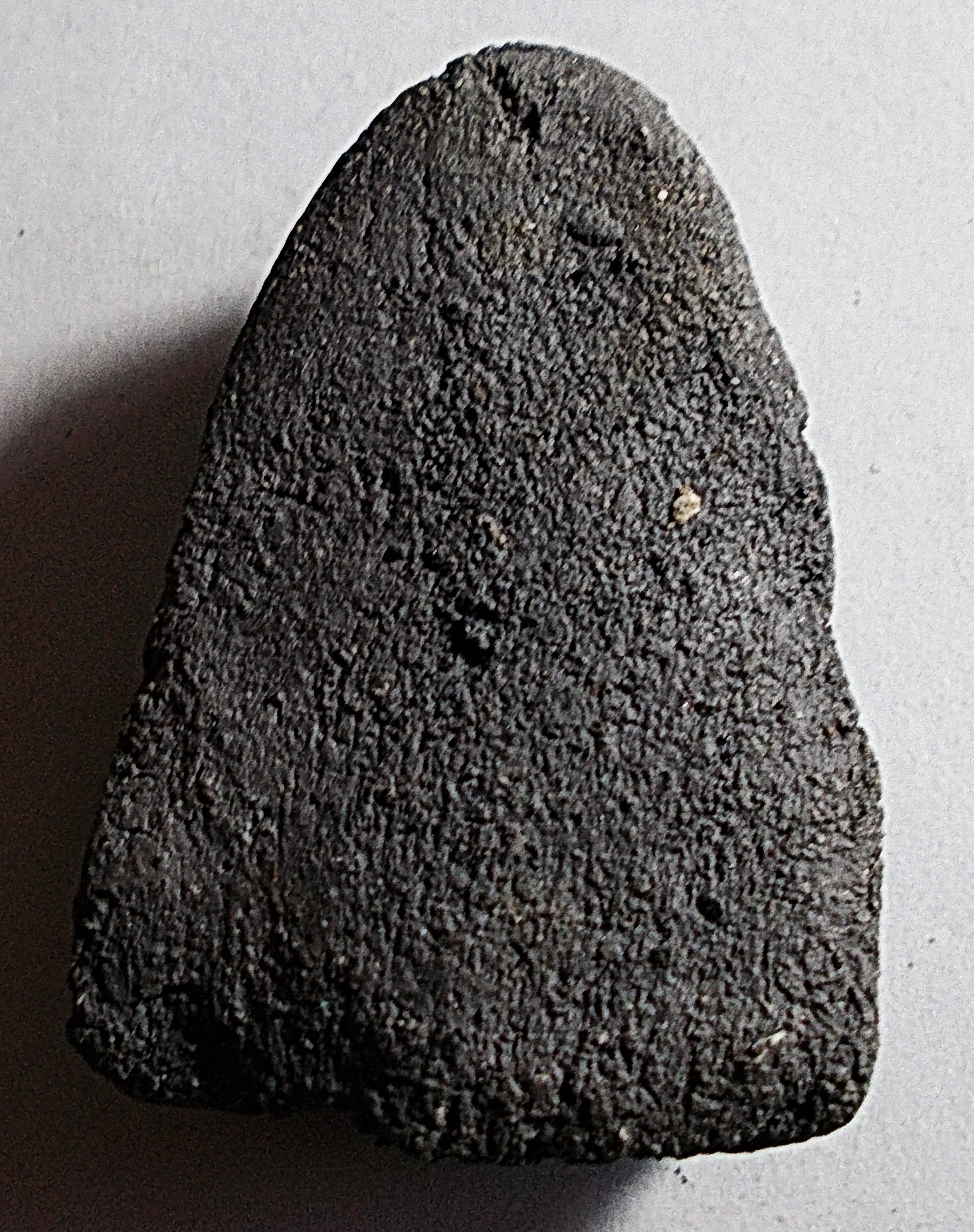 ลป.ทวด เนื้อเทา หัวมน วัดประสาท ปี 2506