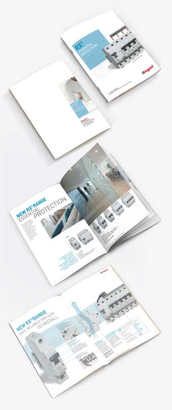 ออกแบบข้อมูลบริษัท และแคตตาล็อกสินค้า Company and Catalog