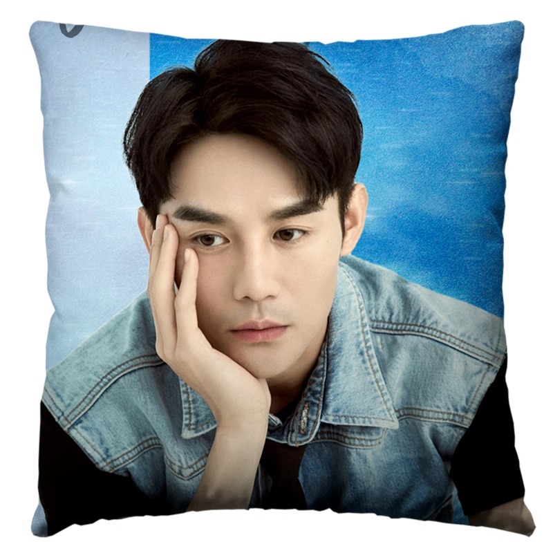 Pre - หมอนลายหวังข่าย WangKai 40 cm หมอนดารา