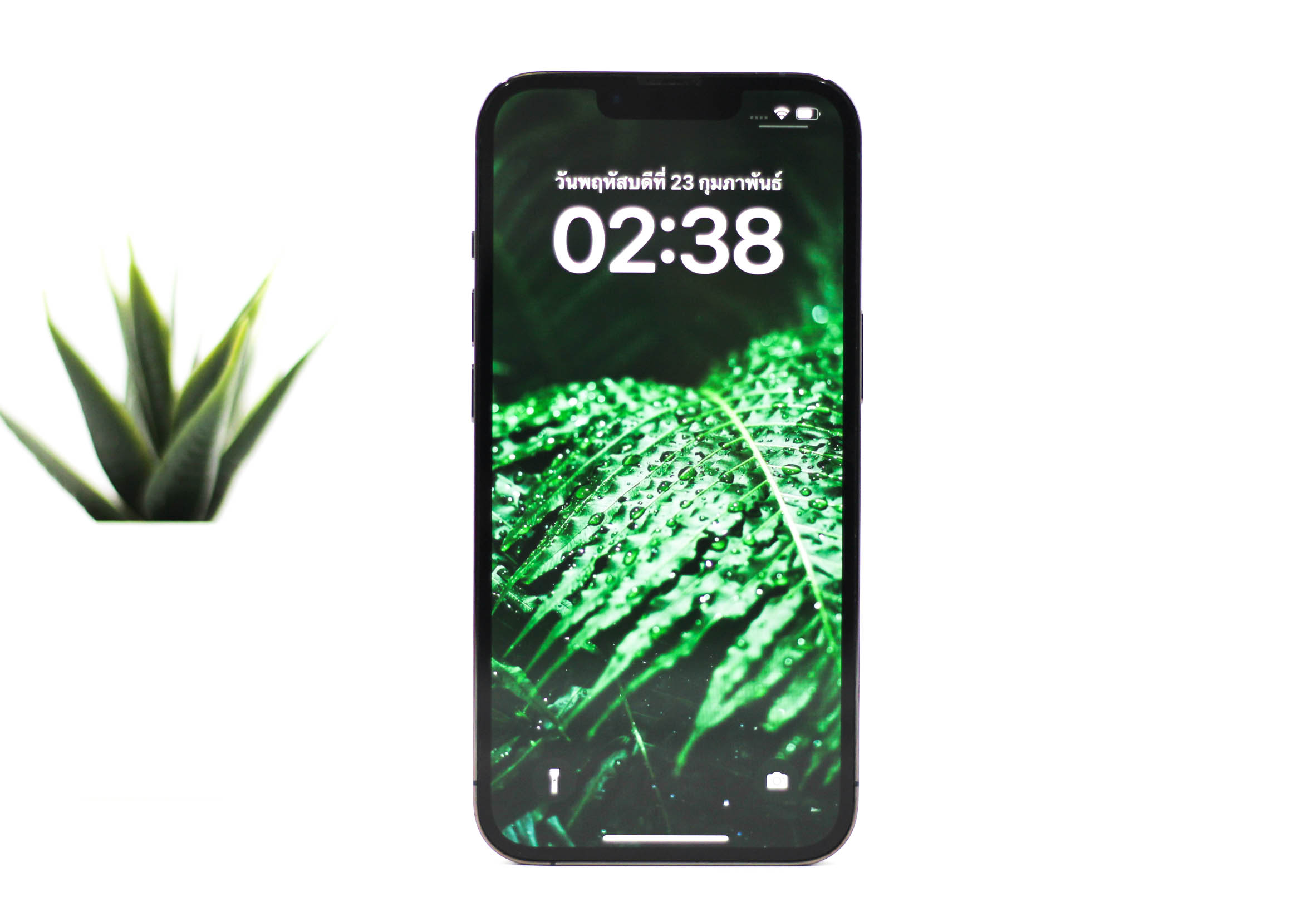 iPhone 13 Pro 128GB TH สี Alpine Green