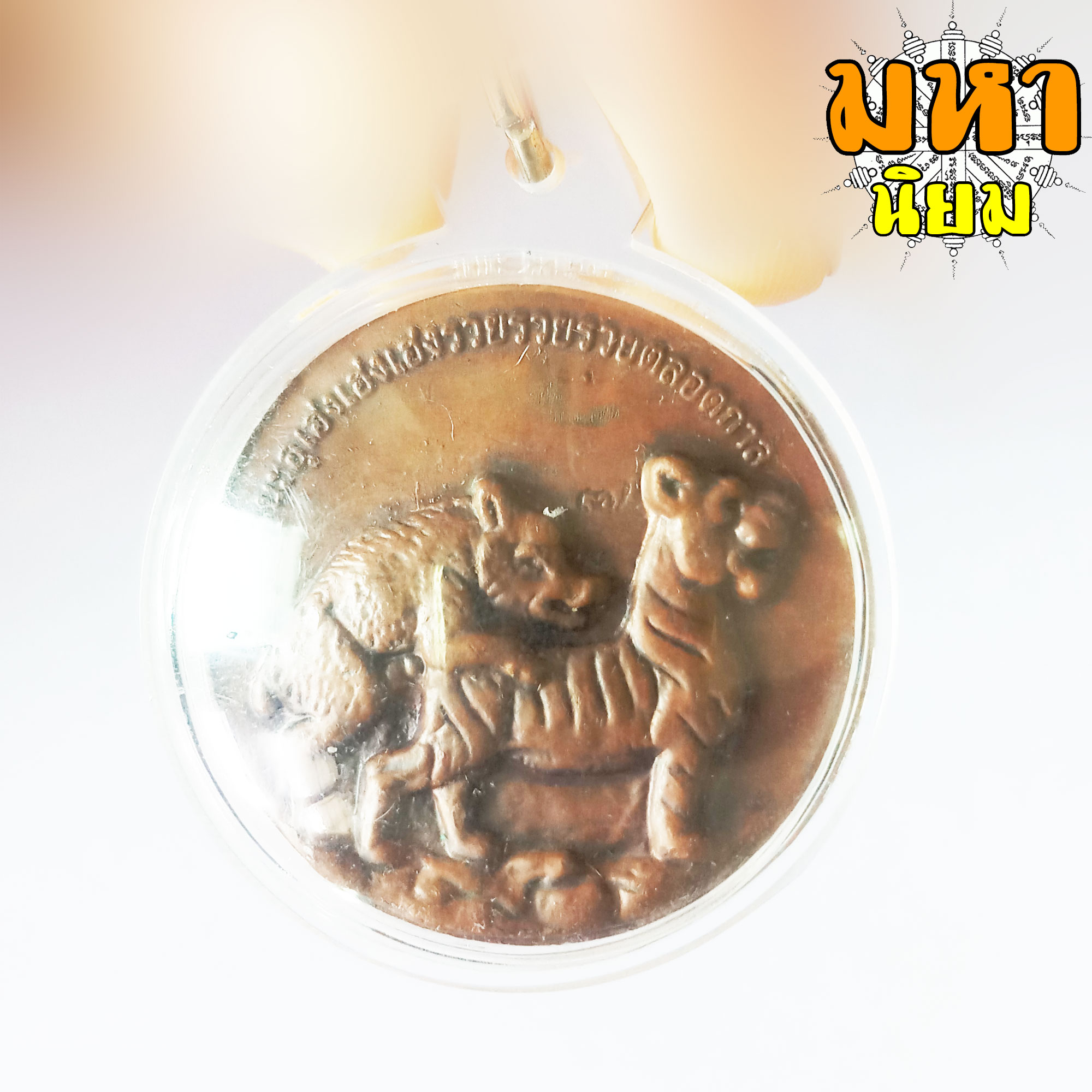 เหรียญหมูเสพเสือ เหรียญหวานหมู หลวงปู่ครูบาคำเป็ง จ.กำแพงเพชร เลี่ยมกรอบอย่างดี