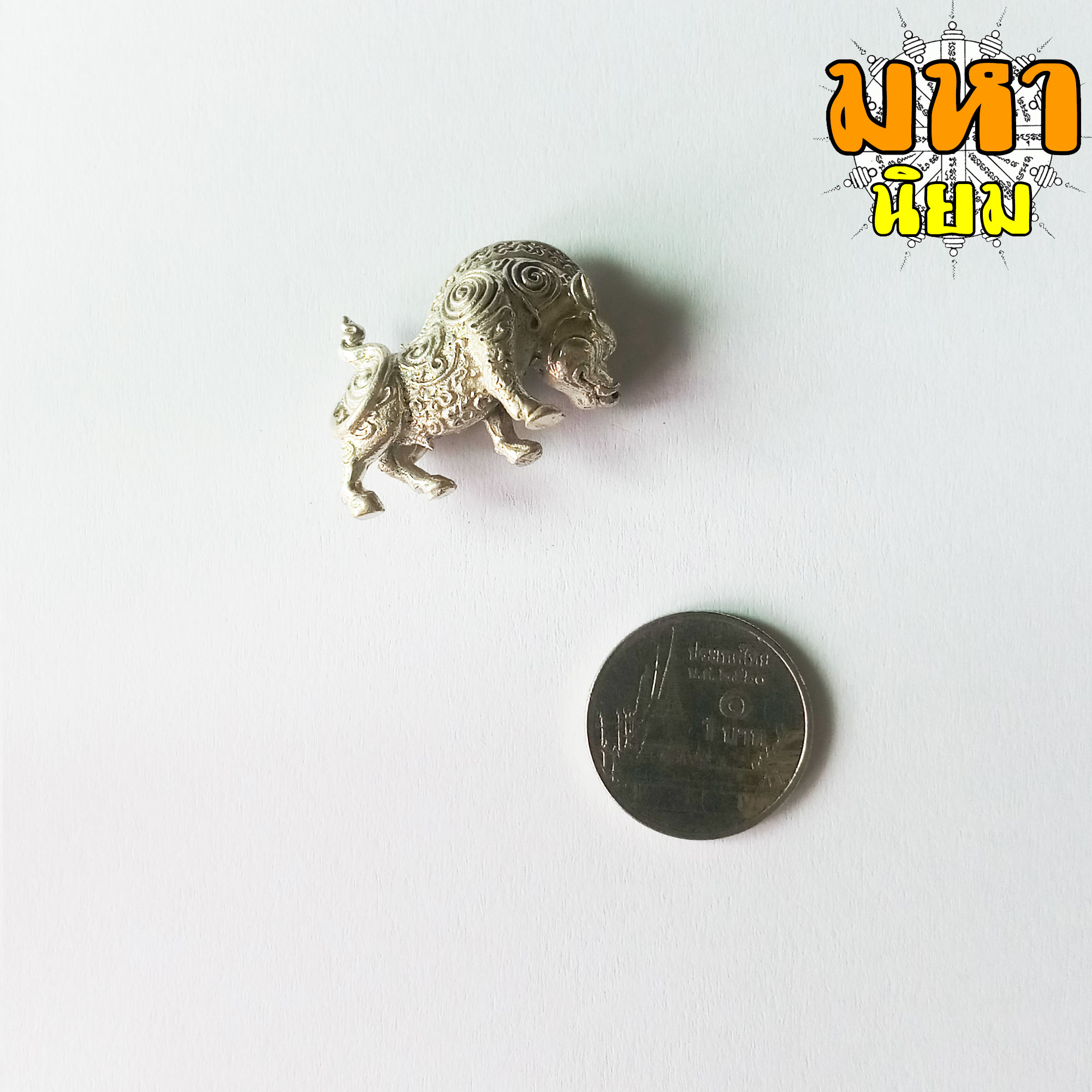 หมูป่ามหาเวทย์ หลวงปู่กาหลง เขี้ยวแก้ว วัดเขาแหลม จ.สระแก้ว