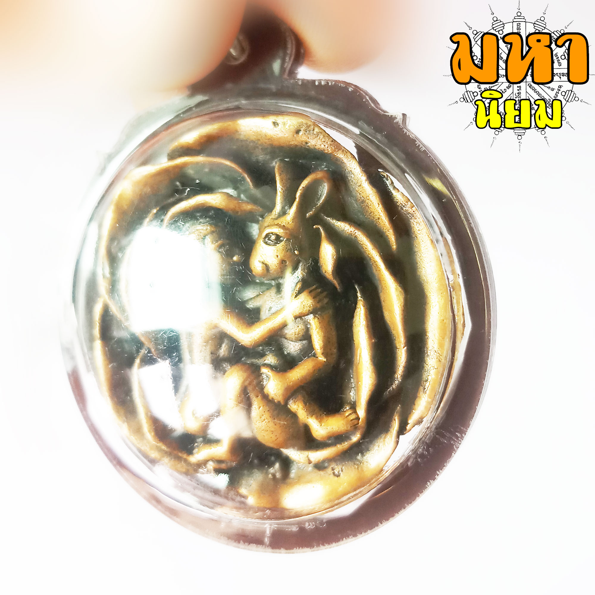 เหรียญกระต่ายเสพนาง กลางสวน เลี่ยมกรอบอย่างดี