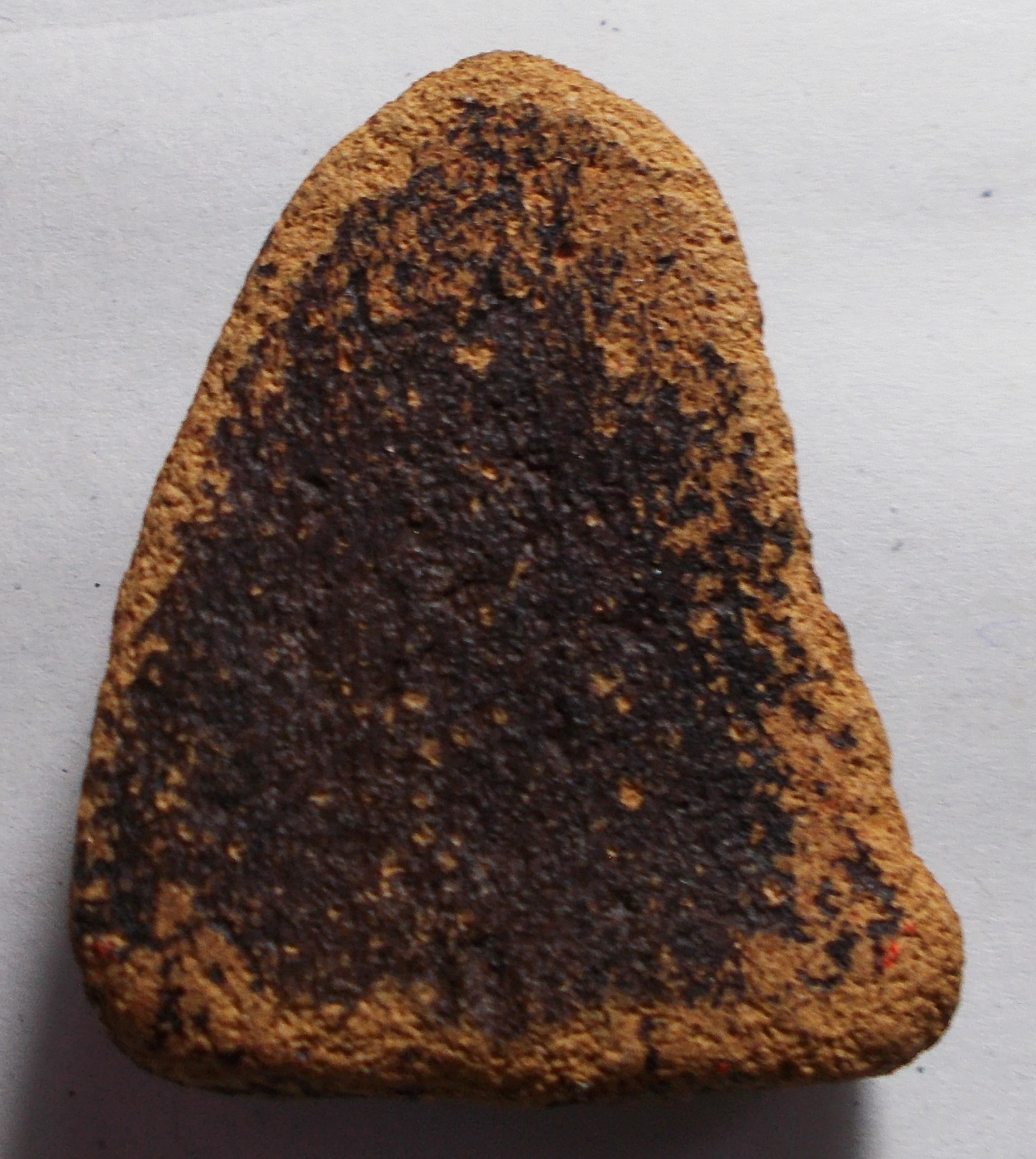 ลพ.โต เนื้อดิน ปางสมาธิ อยุธยา