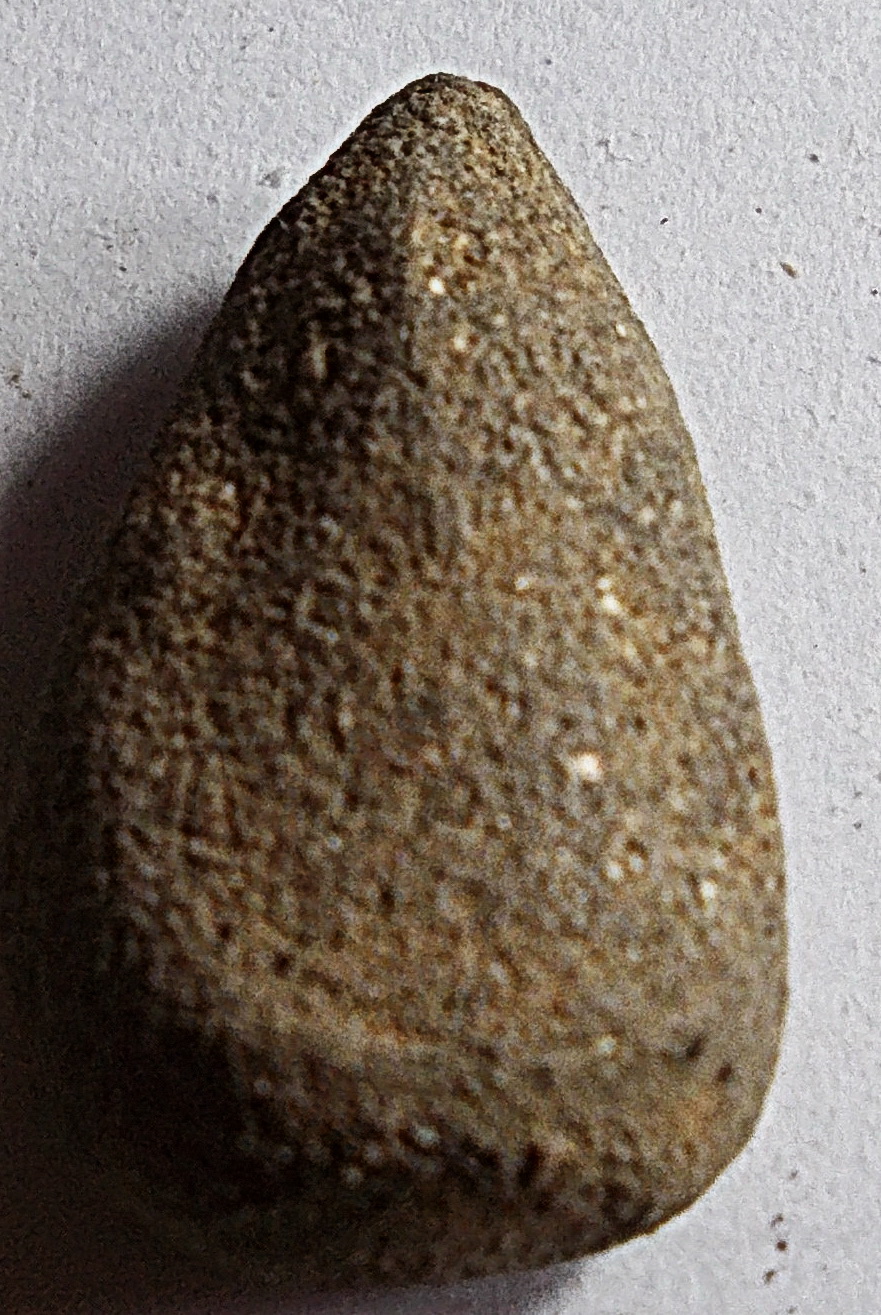 นางพญา เนื้อดินบรรจุกริ่ง กรุคลองทรงกระเทียม