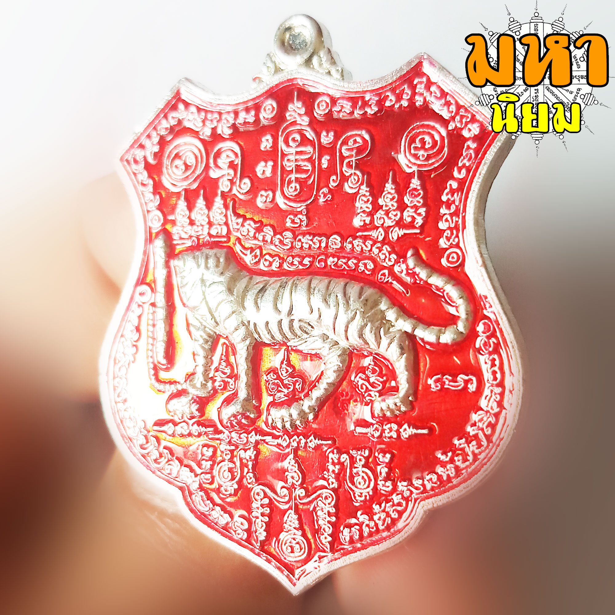 เหรียญเสือหัวขาดตัวหนึ่ง หลวงพ่อไฉน ฉนฺทสาโร จ.ขอนแก่น เนื้อลงยาสี พร้อมกล่องอย่างดี