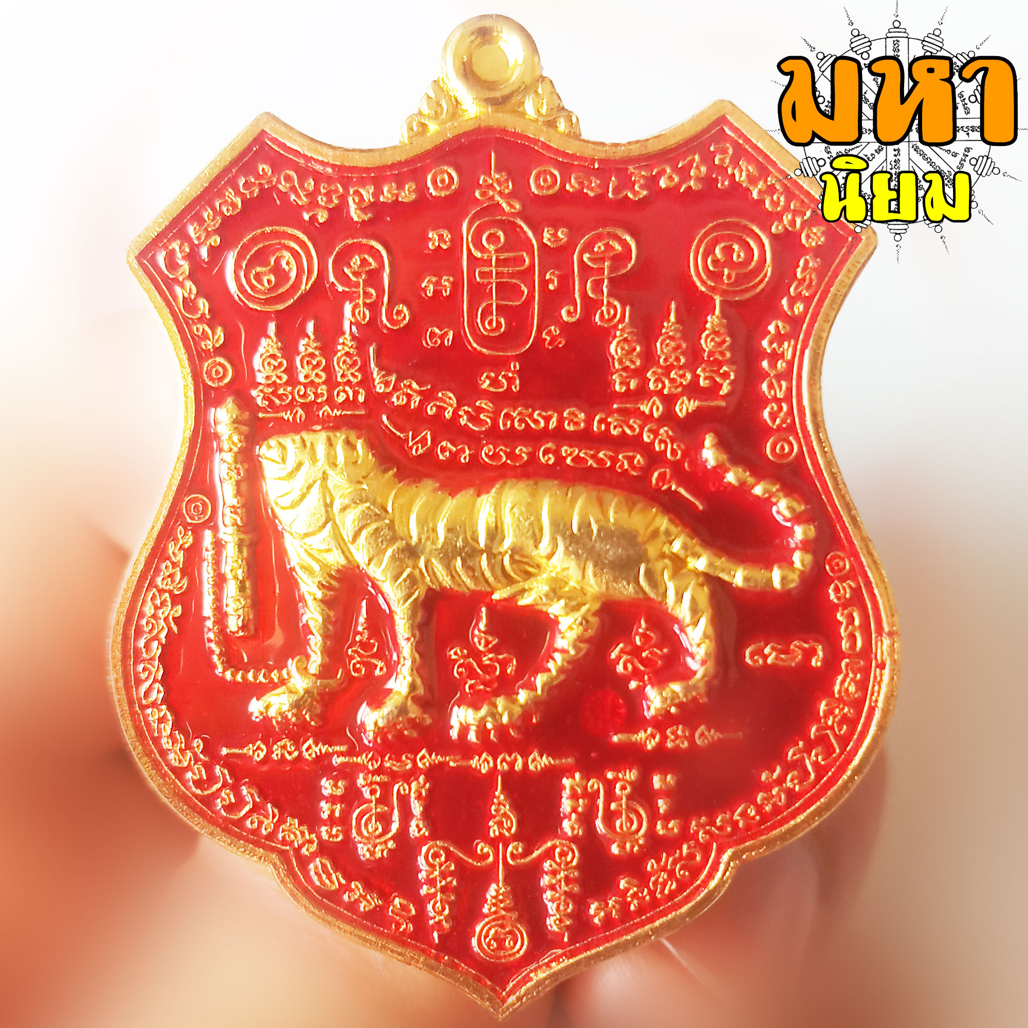 เหรียญเสือหัวขาดตัวหนึ่ง หลวงพ่อไฉน ฉนฺทสาโร จ.ขอนแก่น เนื้อลงยาสี พร้อมกล่องอย่างดี