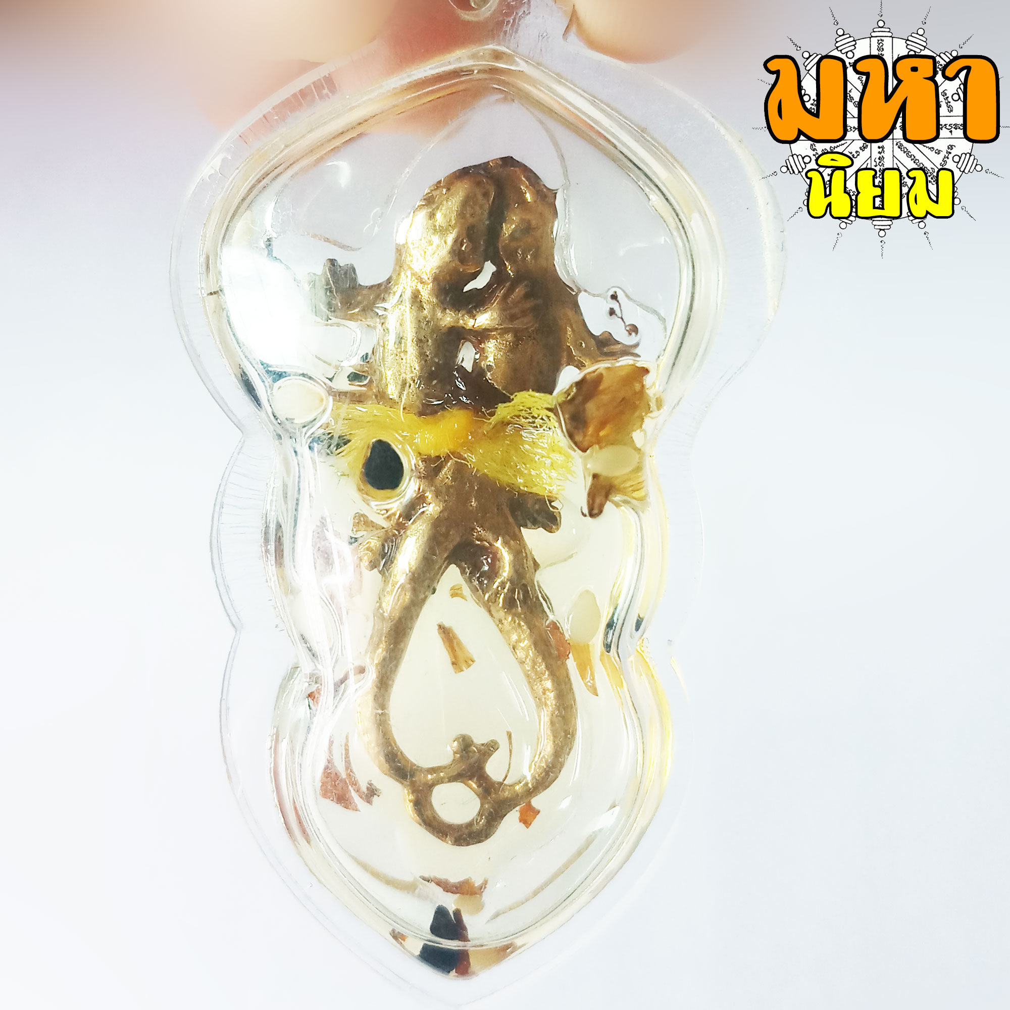 จิ้งจก แช่น้ำมัน หลวงพ่อเผือด วัดมะกอก กรุงเทพ เลี่ยมกรอบอย่างดี