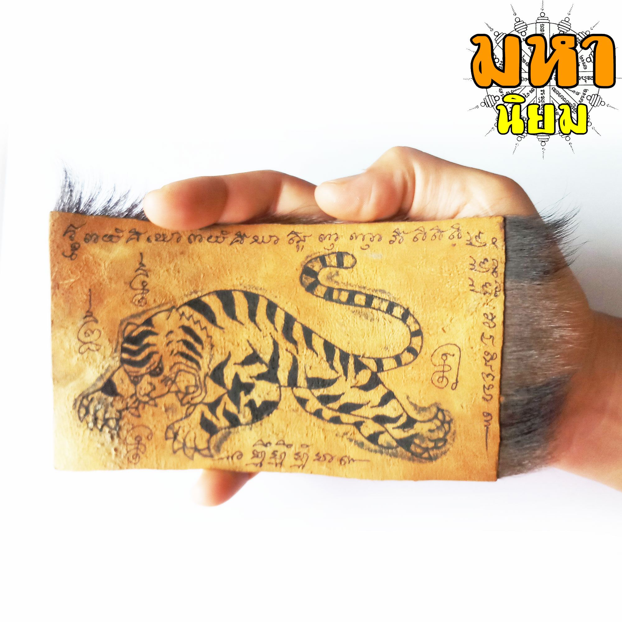 แผ่นหนังเสือ (เสือไฟ) ลงหมึกจารกำกับ เสือตะปบทรัพย์ หลวงพ่อคง วัดบางกะพ้อม จ.สมุทรสงคราม