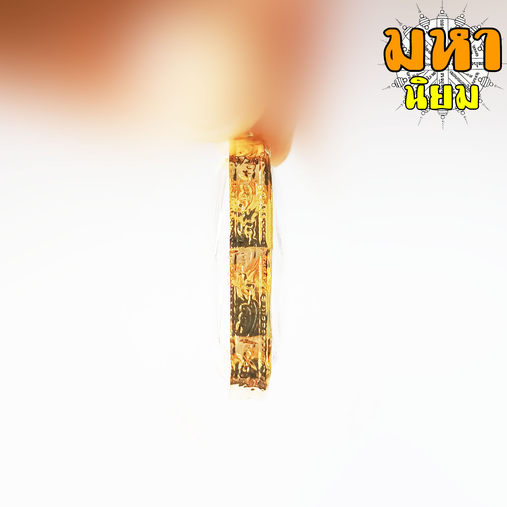 เทพจำแลง ภมร แมงมุม ดักทรัพย์ ครูบากฤษณะ สำนักสงฆ์ฬุวัน จ.นครราชสีมา