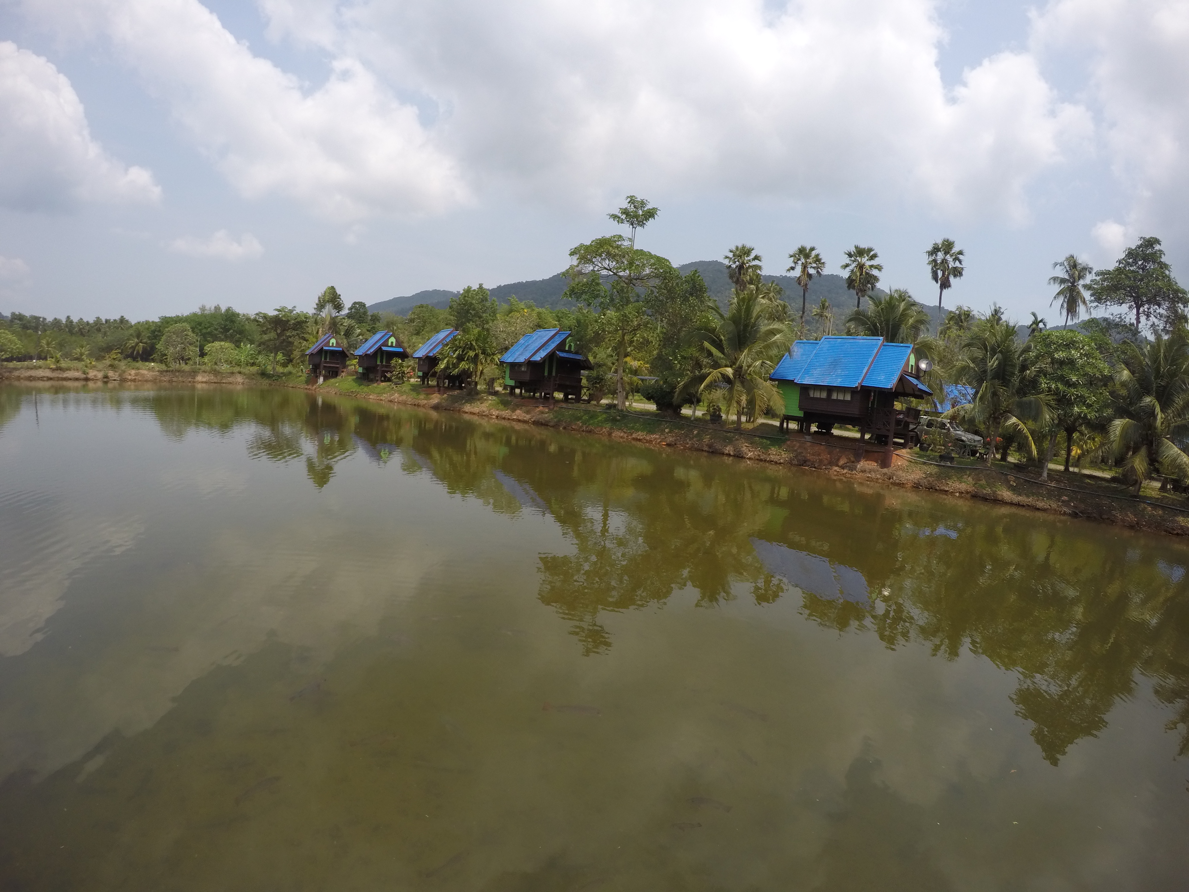 #บ้านแม่รีสอรท์เกาะช้าง #ที่พักเกาะช้าง #ที่เที่ยวเกาะช้าง #แพ้คเกจเกาะช้าง #รีสอรท์เกาะช้าง #เกาะช้าง #แพ้คเกจเกาะช้าง#เกาะช้างที่พก #ที่พักเกาะช้างราคาถูก #บ้านพักเกาะช้าง #เกาะช้างดำน้ำ #ดำน้ำ #ทะเล #แพ้คเกจรวมอาหาร #เกาะช้างเลี้ยวซ้าย #โรงแรมเกาะช้าง #ที่พักในเกาะช้าง #บ้านพักต่างอากาศ #จองที่พักเกาะช้าง #ทัวร์เกาะช้าง #รีวิวเกาะช้าง #เกาะช้างน้ำใส #เกาะช้างทัวร์ #แพ้คเกจ2วัน1คืน #แพ้คเกจ3วัน2คืน #แผนที่เกาะช้าง #อำเภอเกาะช้าง #เรือเฟอรี่ #เกาะช้างรีวิว