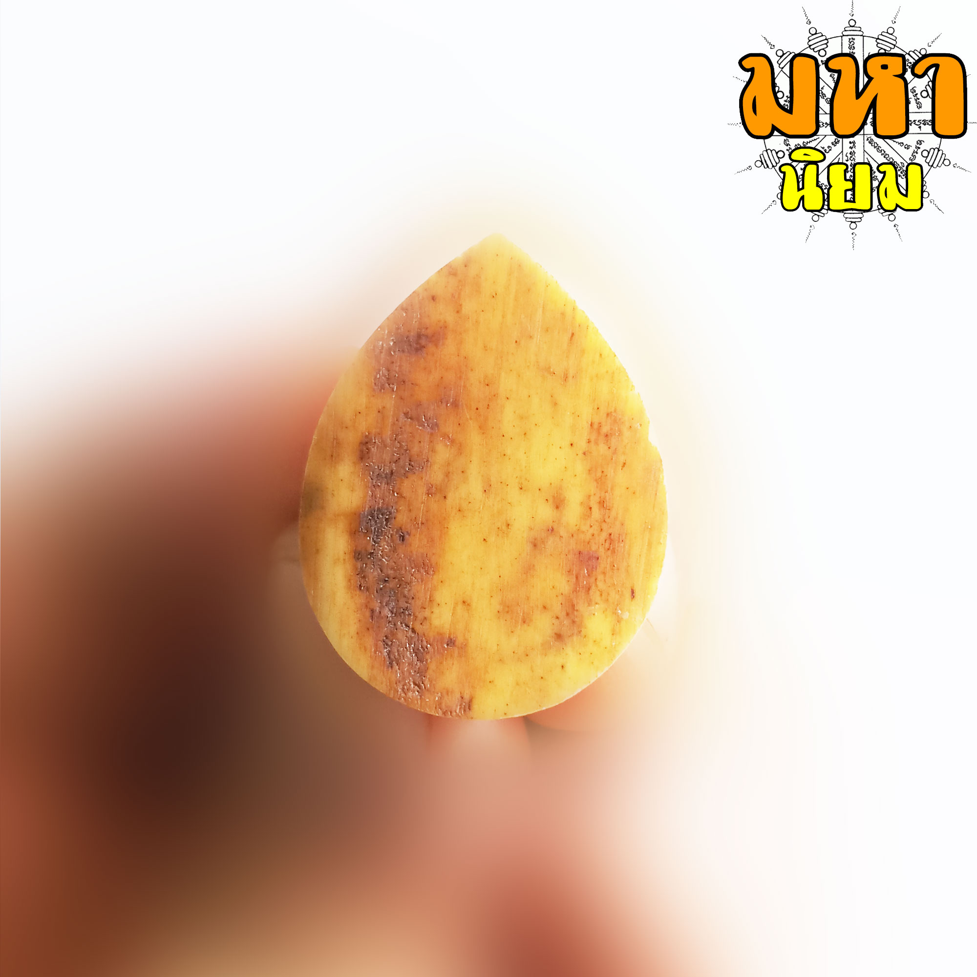 แม่นางกวัก กระดูกช้างแกะสลัก หมู่บ้านช้าง จ.สุรินทร์