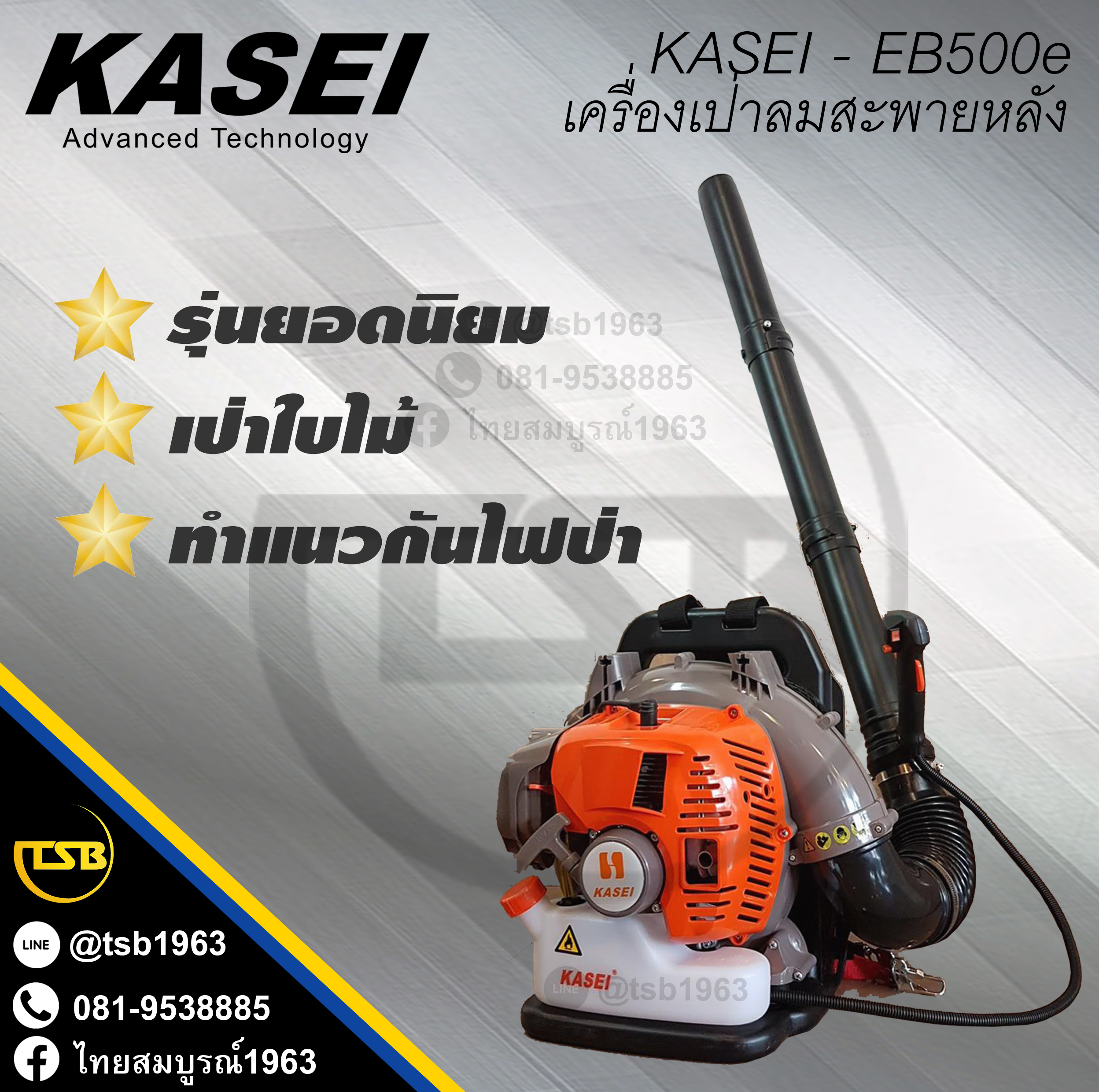 [FD] เครื่องเป่าลมแบบสะพาย KASEI ขนาด 2 แรงม้า รุ่น EB-500E