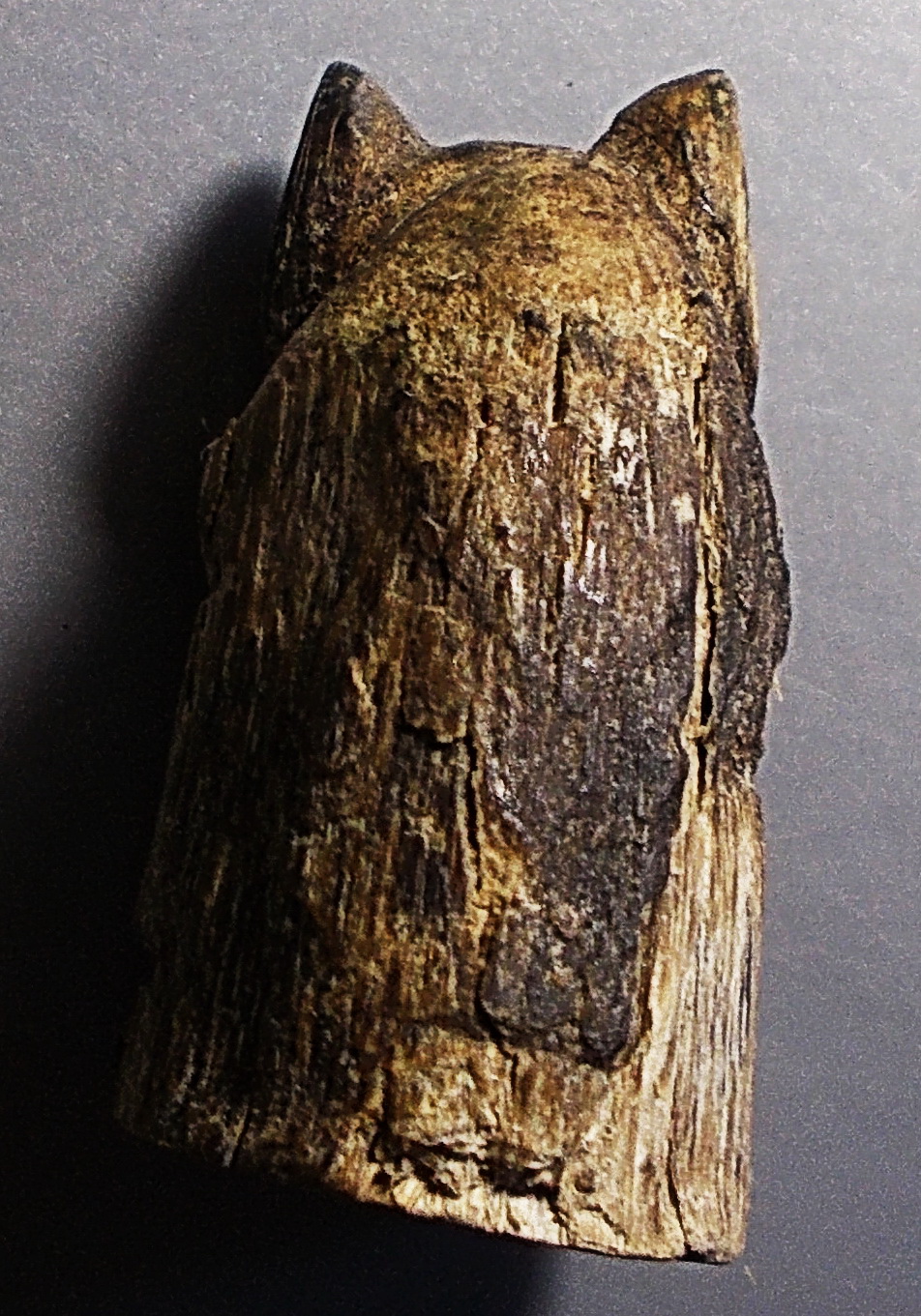 เสือไม้แกะเก่าอุดกริ่ง ไม่ทราบที่