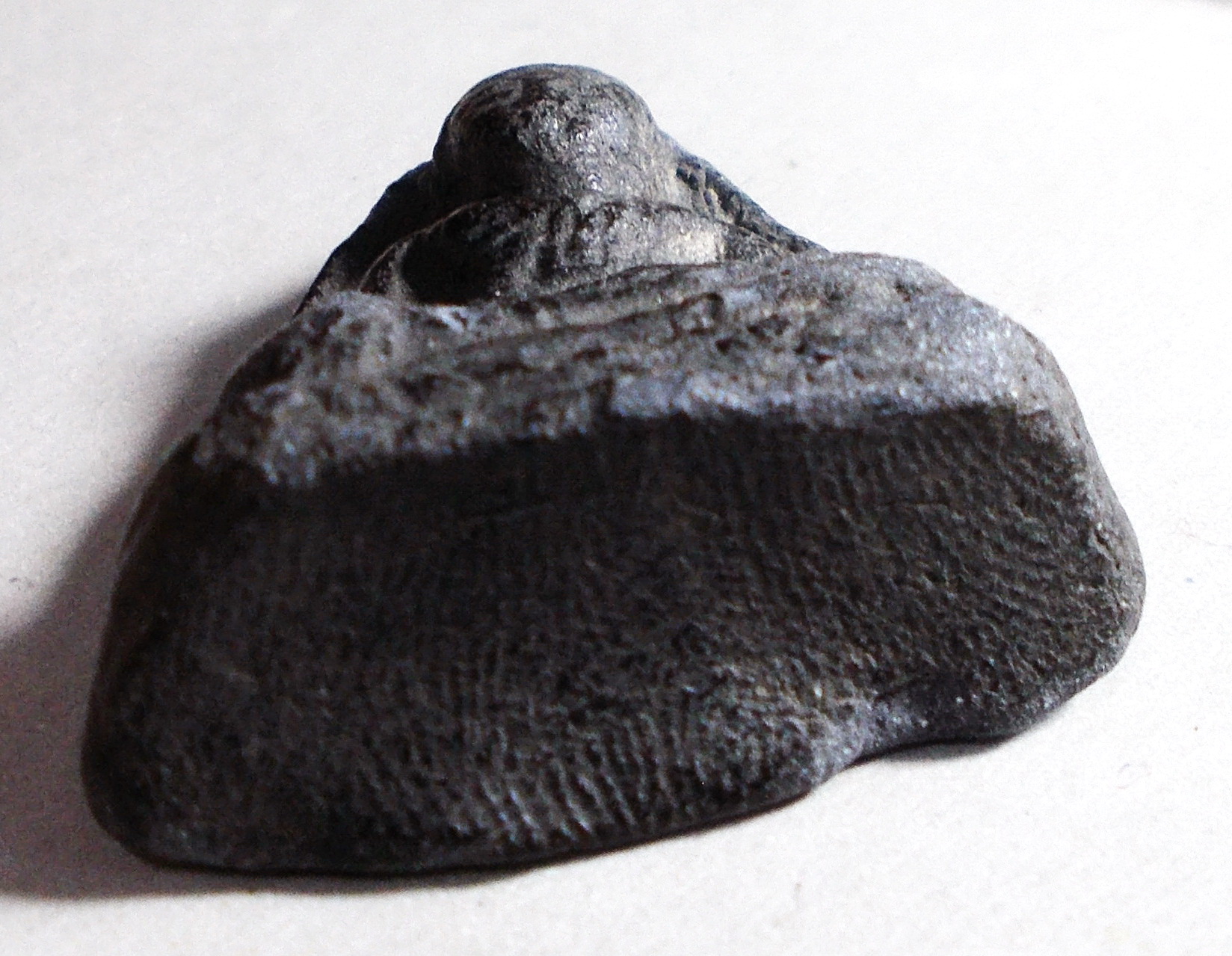 ลพ.คร้าม วัดพระเงิน นนทบุรี พิมพ์หลวงพ่อโต หลังยันต์ตุ๊กตาใหญ่