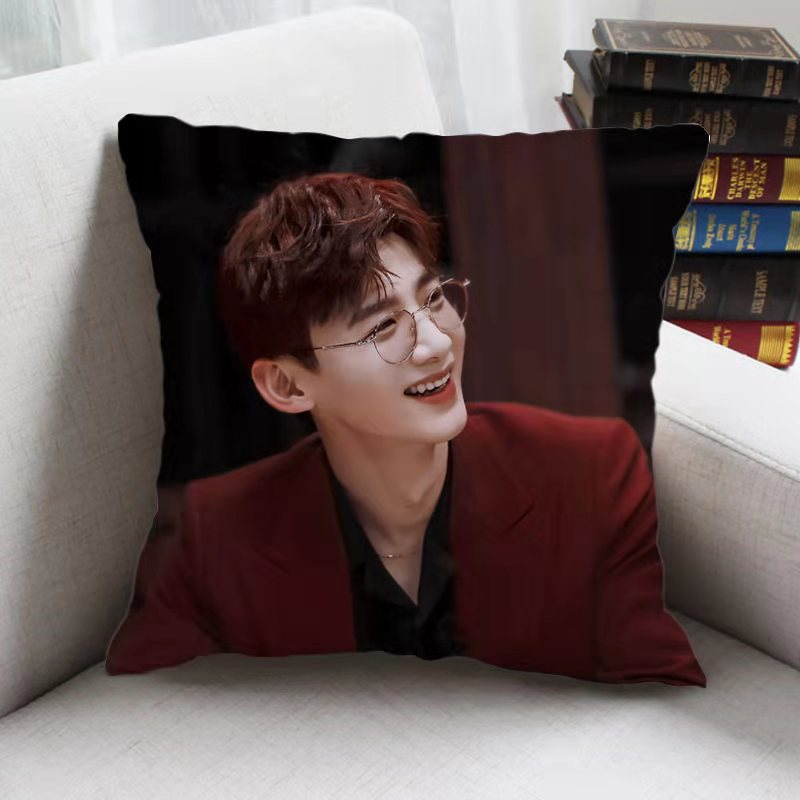 Pre - หมอนลายไป๋จิงถิง BaiJingting 40 ซม.