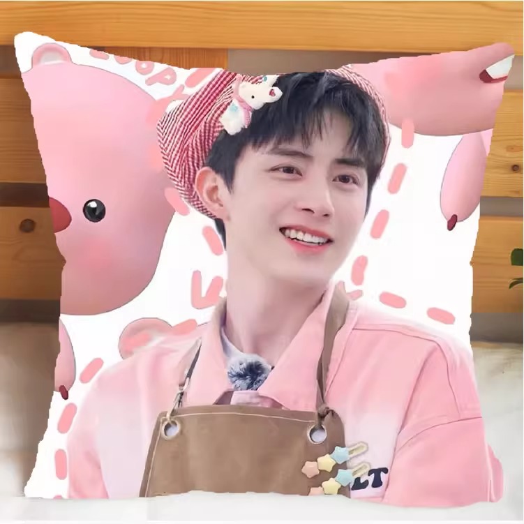 Pre - หมอนลาย อ๋าวรุ่ยเผิง AoRuipeng 40 cm.(ไม่ใช่สินค้าอฟช.)