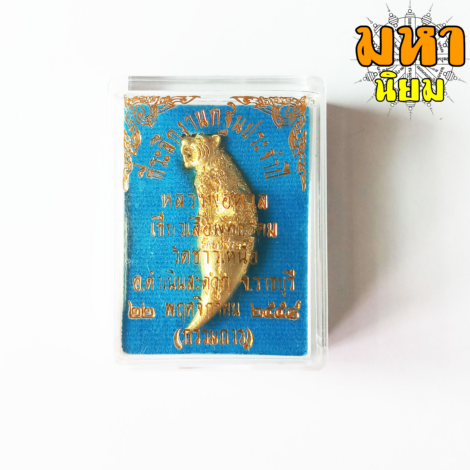 เขี้ยวเสือพุทธาคม หลวงพ่อหวล วัดชาวเหนือ จ.ราชบุรี