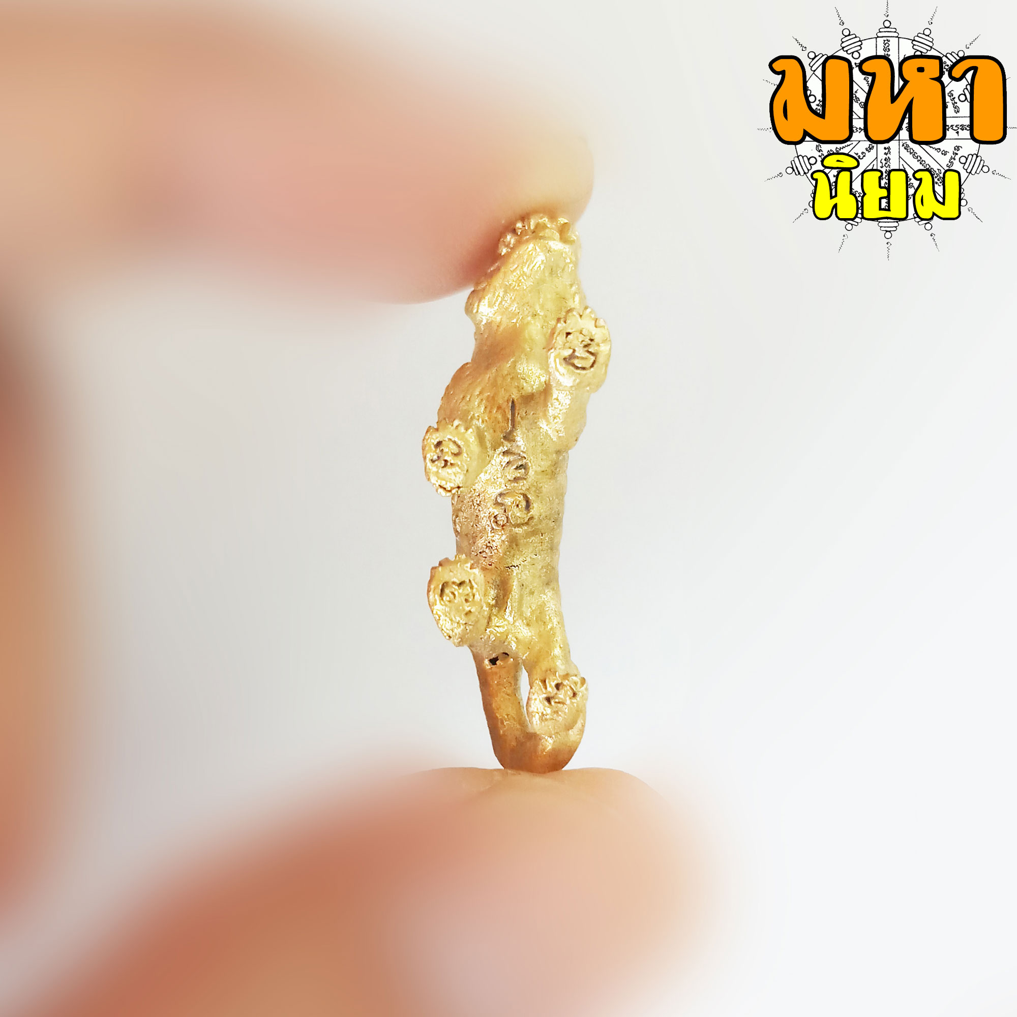 เสือหลวงพ่อเปิ่น ฐิตคุโณ วัดบางพระ จ.นครปฐม