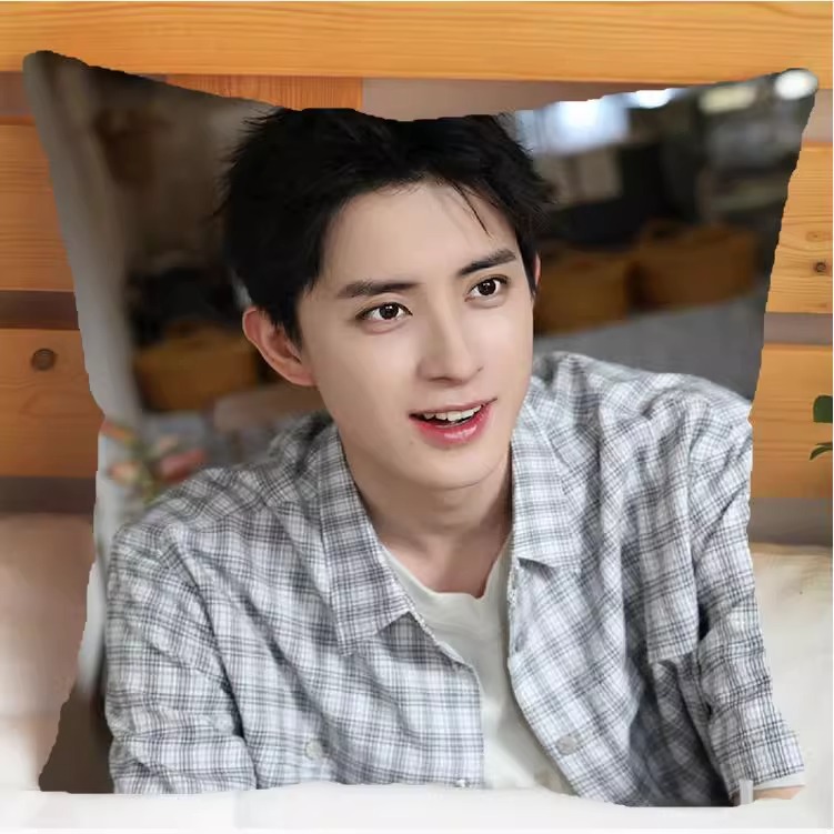 Pre - หมอนลาย อ๋าวรุ่ยเผิง AoRuipeng 40 cm.(ไม่ใช่สินค้าอฟช.)