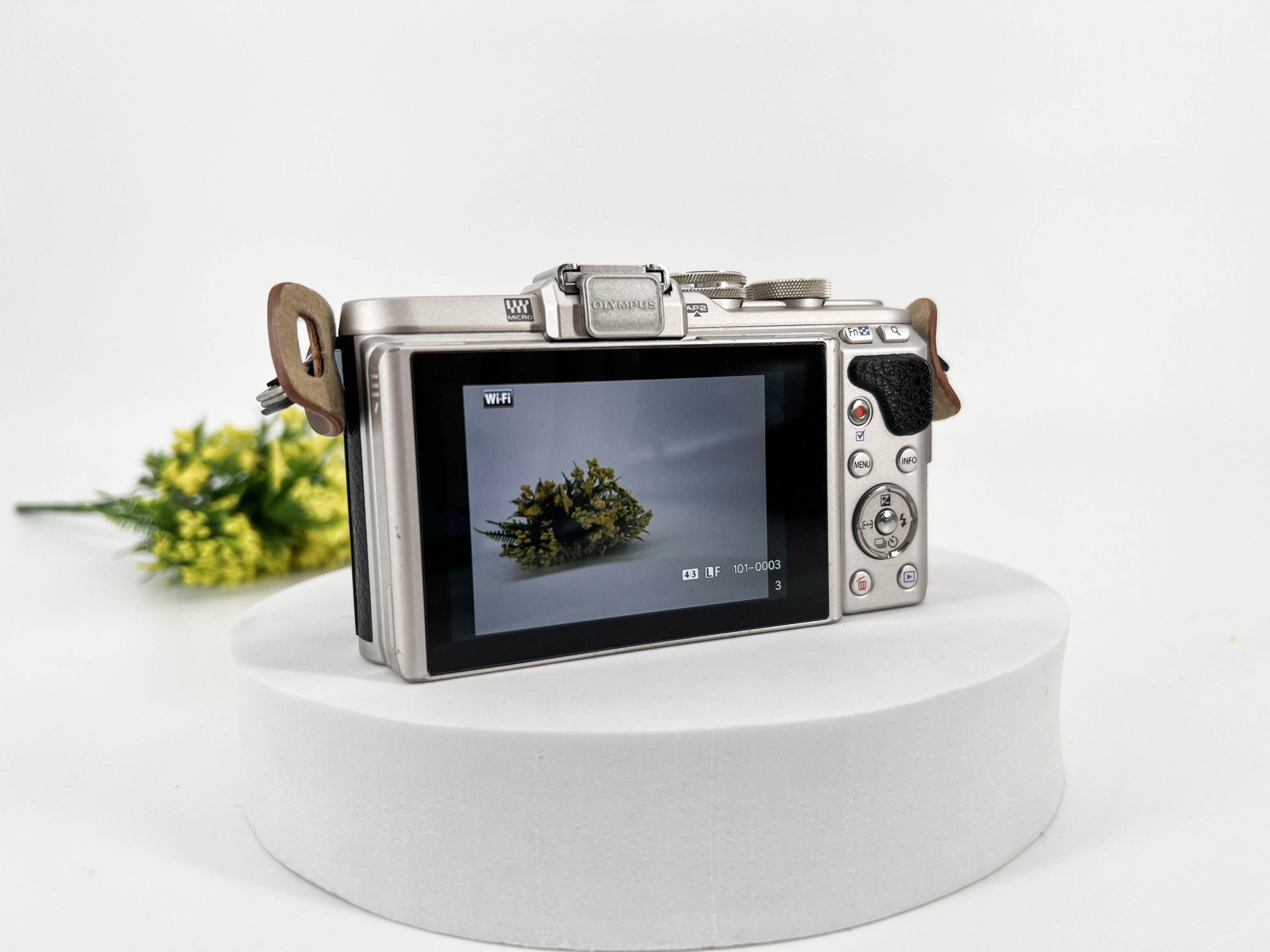 Olympus PEN E-PL8 + Lens 14-42 mm.