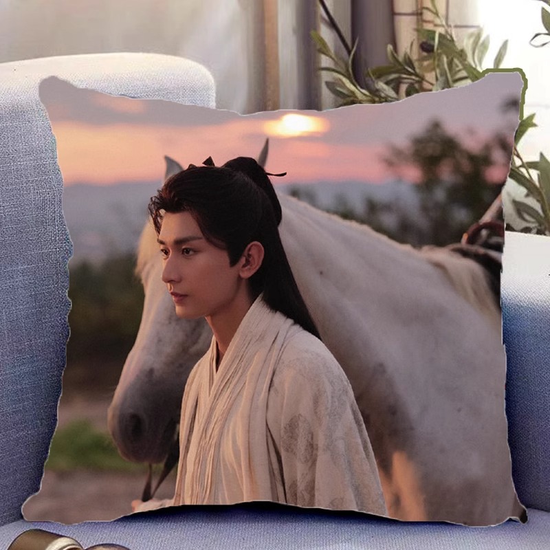 Pre - หมอนลายเฉิงอี้ ChengYi เจิงซุ่นซี ตี๋เฟยเซิง เฉินตูหลิง ซีรี่ย์จีน