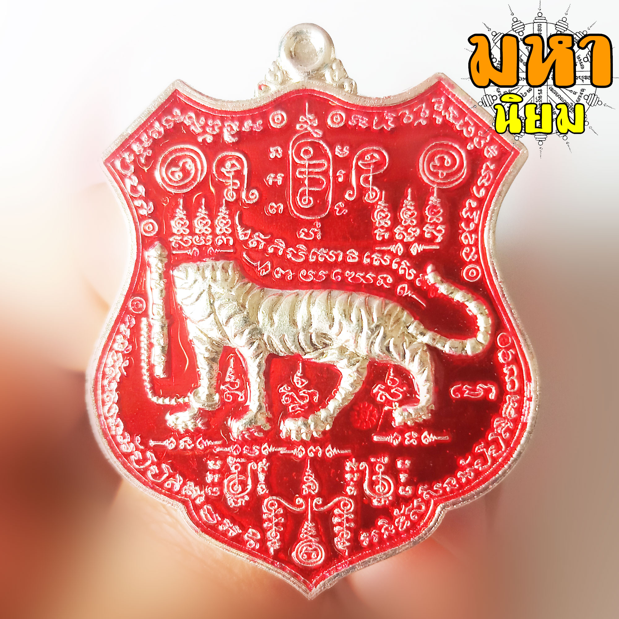 เหรียญเสือหัวขาดตัวหนึ่ง หลวงพ่อไฉน ฉนฺทสาโร จ.ขอนแก่น เนื้อลงยาสี พร้อมกล่องอย่างดี