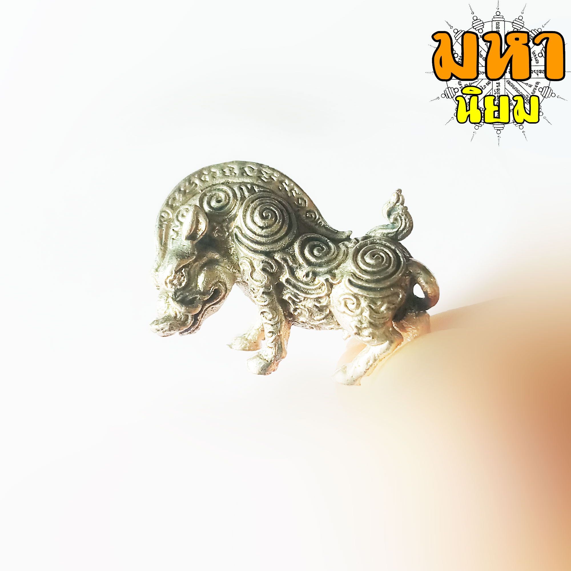 หมูป่ามหาเวทย์ หลวงปู่กาหลง เขี้ยวแก้ว วัดเขาแหลม จ.สระแก้ว