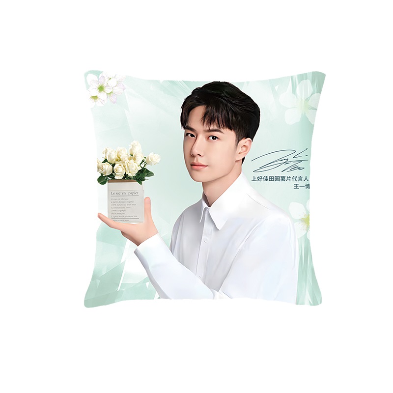 Pre - หมอน #WangYibo Oishi หวังอี้ป๋อ #พรีออเดอร์จีน 😍