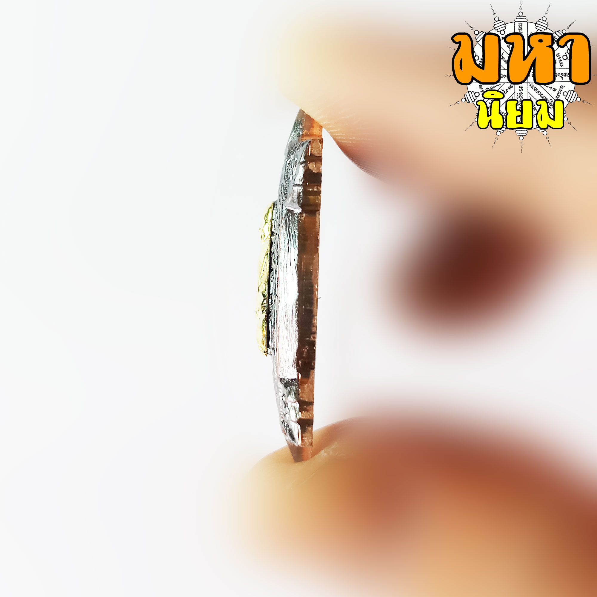 พญาเต่าเรือน รุ่นแสนสุขใจ หลวงปู่แสน วัดหนองจิก จ.ศรีสะเกษ