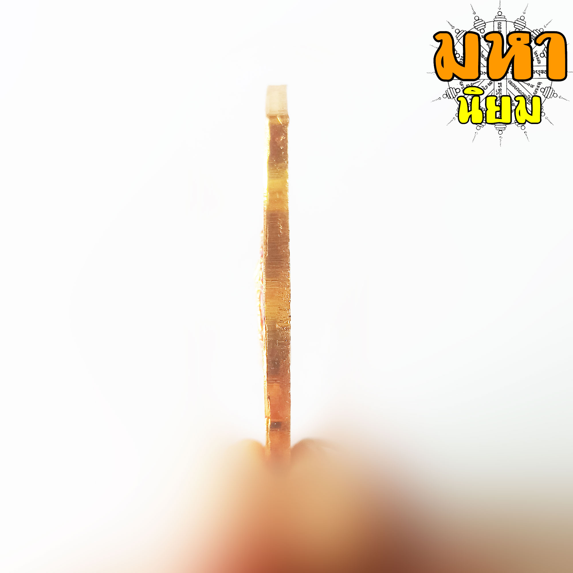 เหรียญเสือหัวขาดตัวหนึ่ง หลวงพ่อไฉน ฉนฺทสาโร จ.ขอนแก่น เนื้อลงยาสี พร้อมกล่องอย่างดี