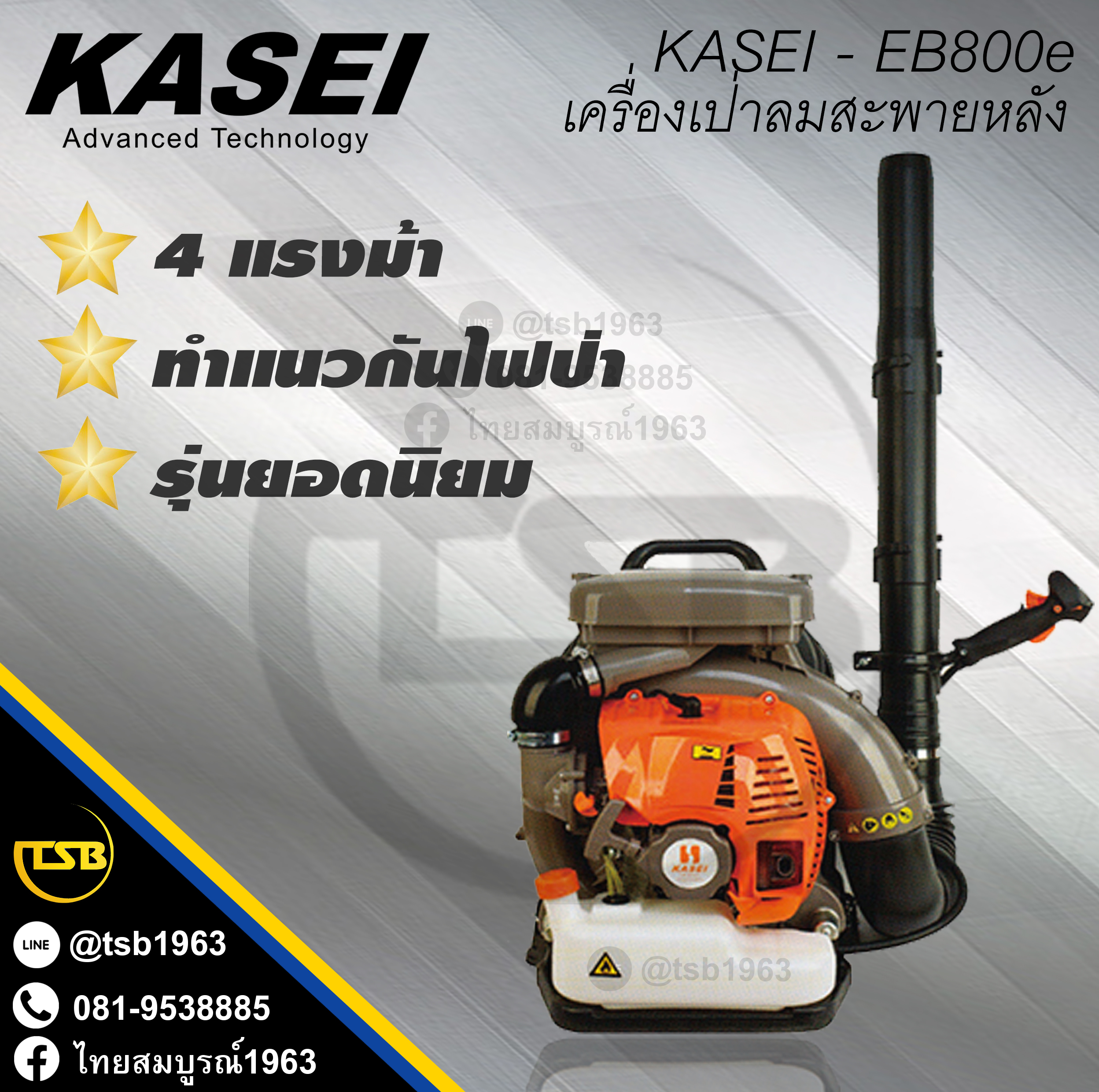 [BB-FS] เครื่องเป่าลมแบบสะพาย KASEI กำลัง 4 แรงม้า รุ่น EB-800E