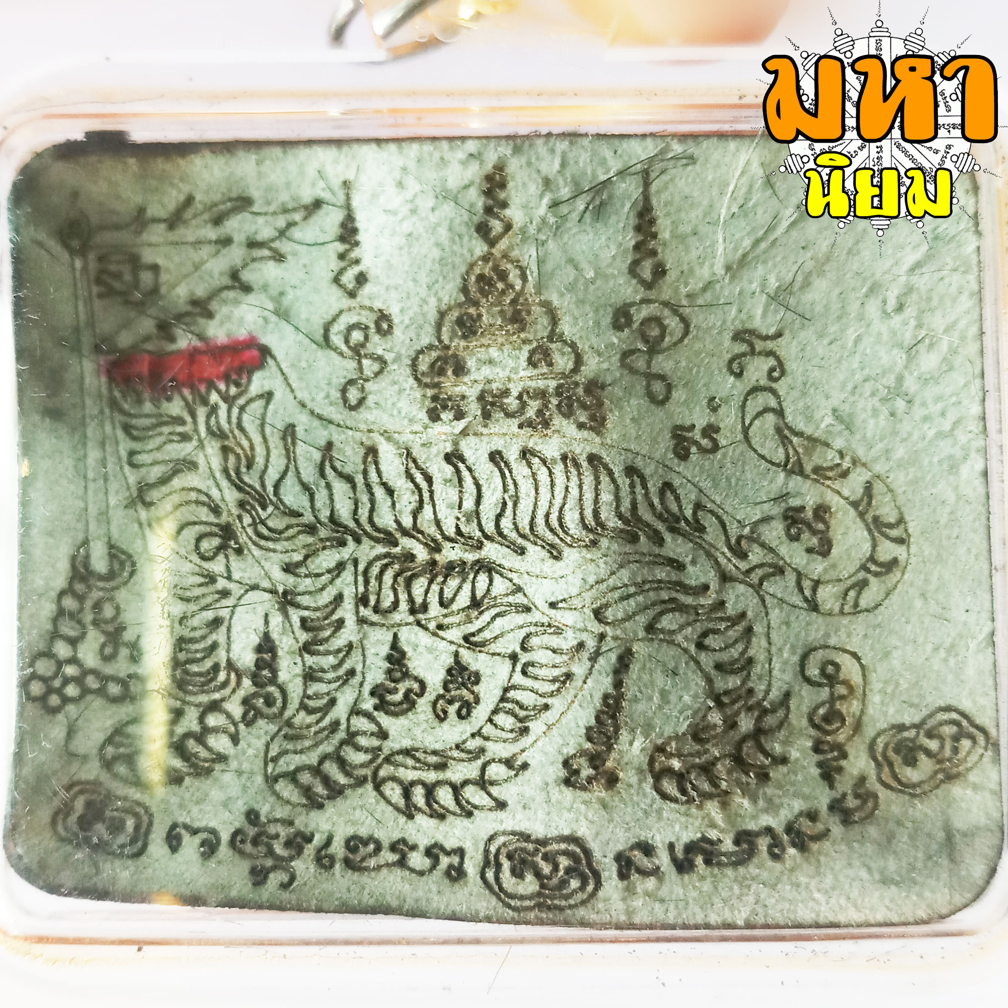 แผ่นหนังเสือ (เสือไฟ) ลงหมึกจารกำกับ ลายเสือหัวขาด หลวงพ่อไฉน วัดคุณากร จ.ขอนแก่น เลี่ยมกรอบอย่างดี