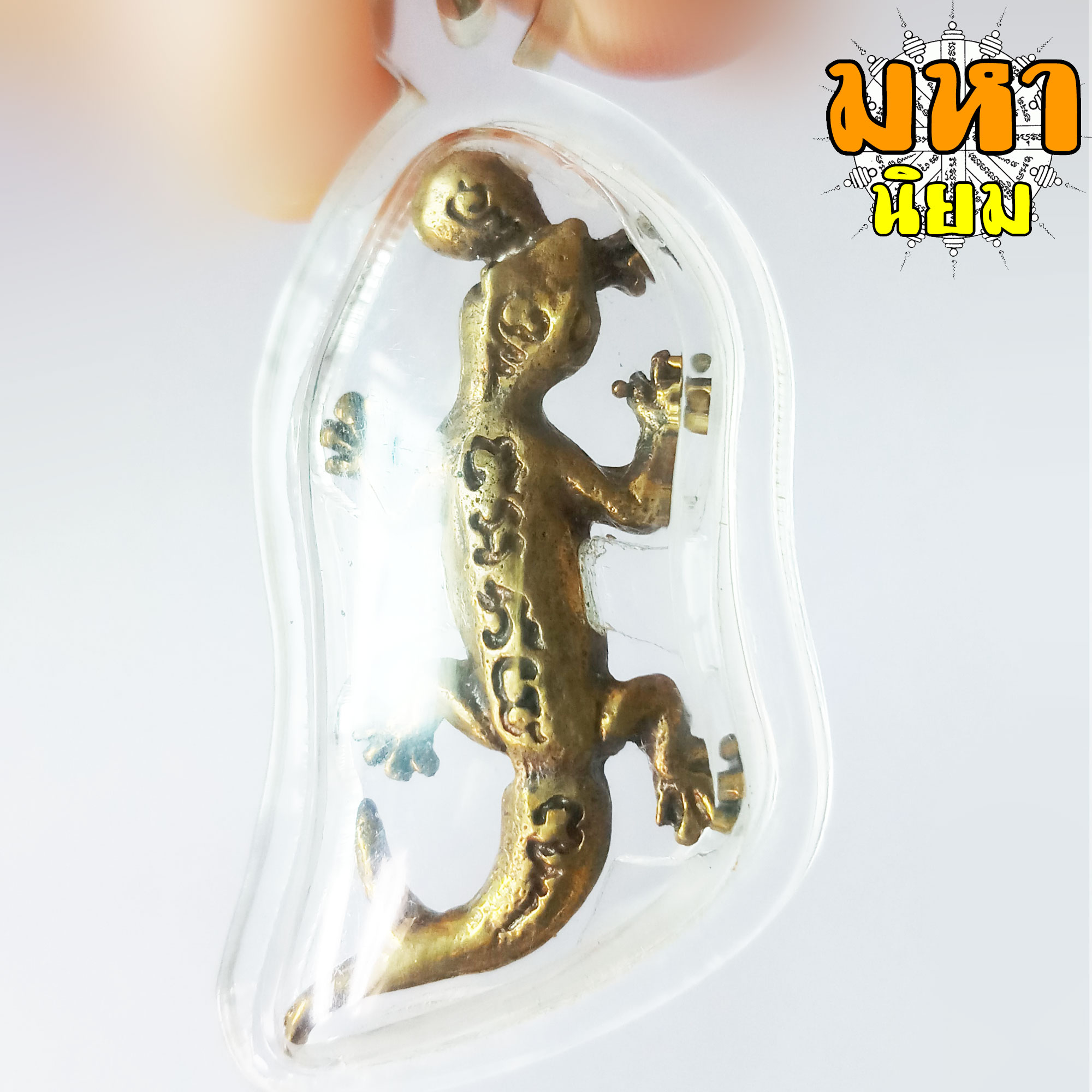 จิ้งจกนำโชค 2 หาง หลวงปู่หลิว วัดไร่แตงทอง จ.นครปฐม เลี่ยมกรอบอย่างดี