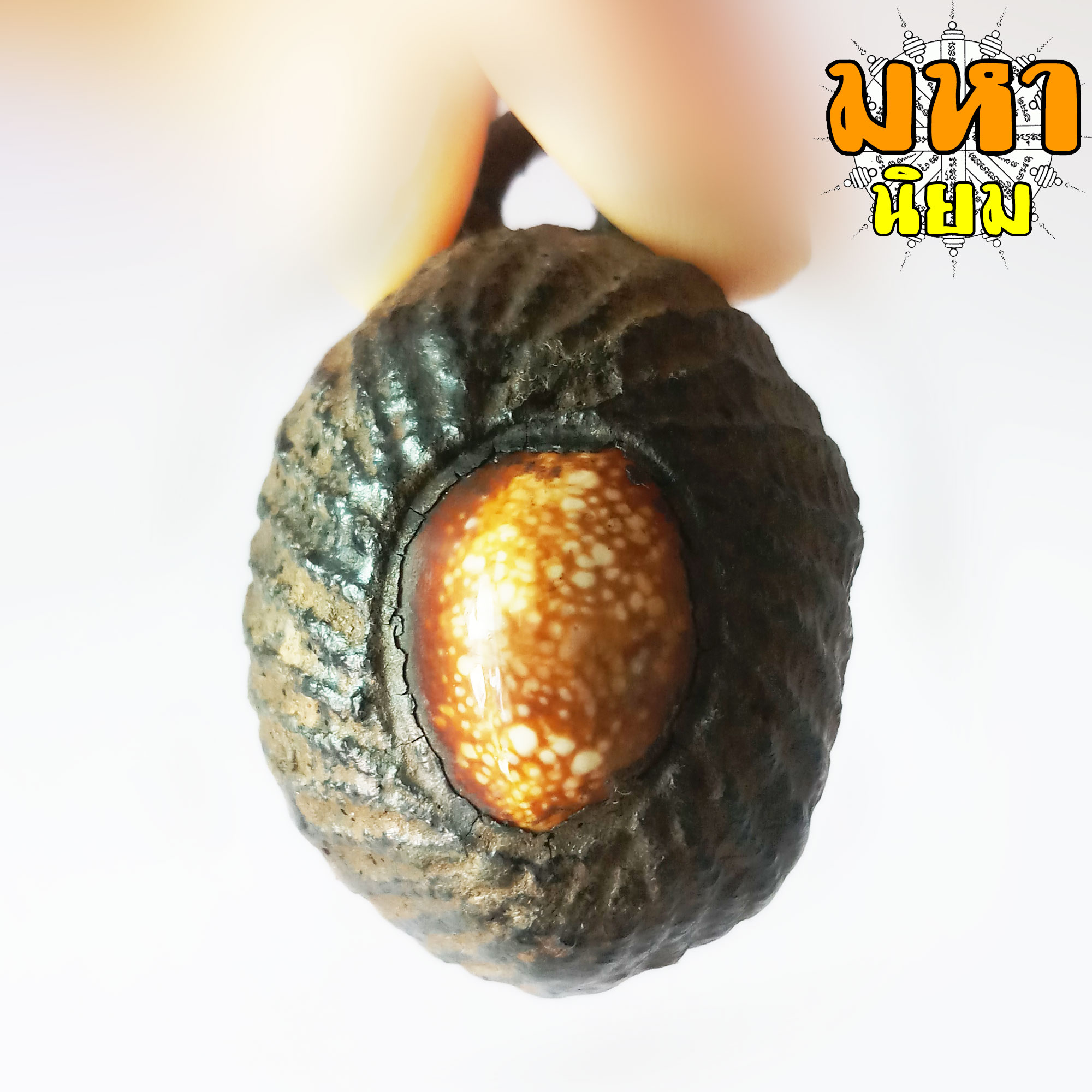 เบี้ยแก้ ล็อกเก็ต หลวงพ่อกวย วัดโฆสิตาราม จ.ชัยนาท (เขย่าแล้วมีเสียงตะกรุดข้างใน)