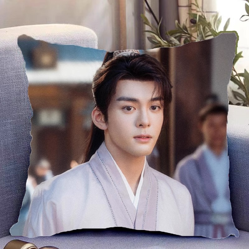 Pre - หมอนลายเฉิงอี้ ChengYi เจิงซุ่นซี ตี๋เฟยเซิง เฉินตูหลิง ซีรี่ย์จีน