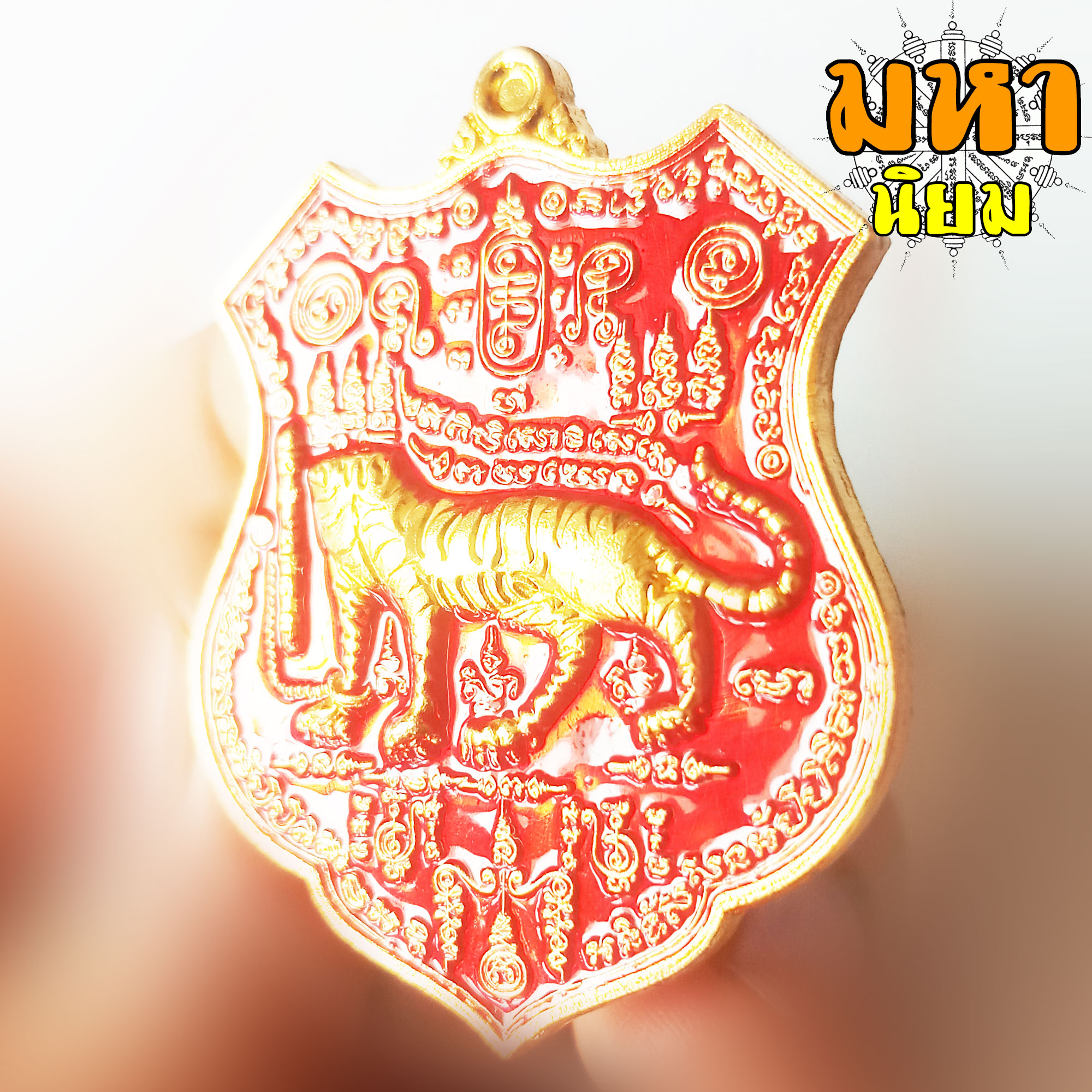 เหรียญเสือหัวขาดตัวหนึ่ง หลวงพ่อไฉน ฉนฺทสาโร จ.ขอนแก่น เนื้อลงยาสี พร้อมกล่องอย่างดี