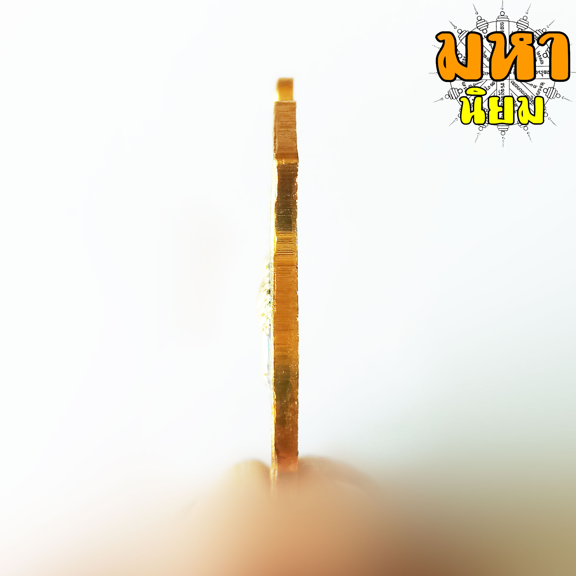 เหรียญเสือหัวขาดตัวหนึ่ง หลวงพ่อไฉน ฉนฺทสาโร จ.ขอนแก่น เนื้อลงยาสี พร้อมกล่องอย่างดี