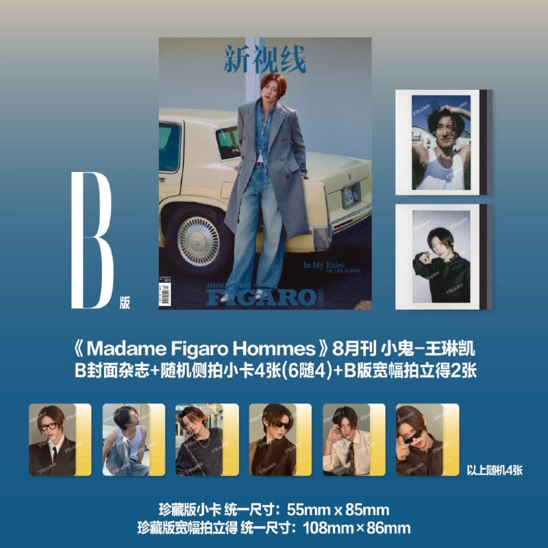 นิตยสาร Madame Figaro Hommes หวังหลินข่าย WangLinkai 王琳凯 2025+ การ์ด