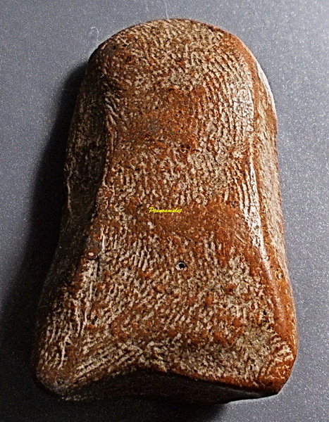 พระคงทรงพระบาง เนื้อดิน ลำพูน